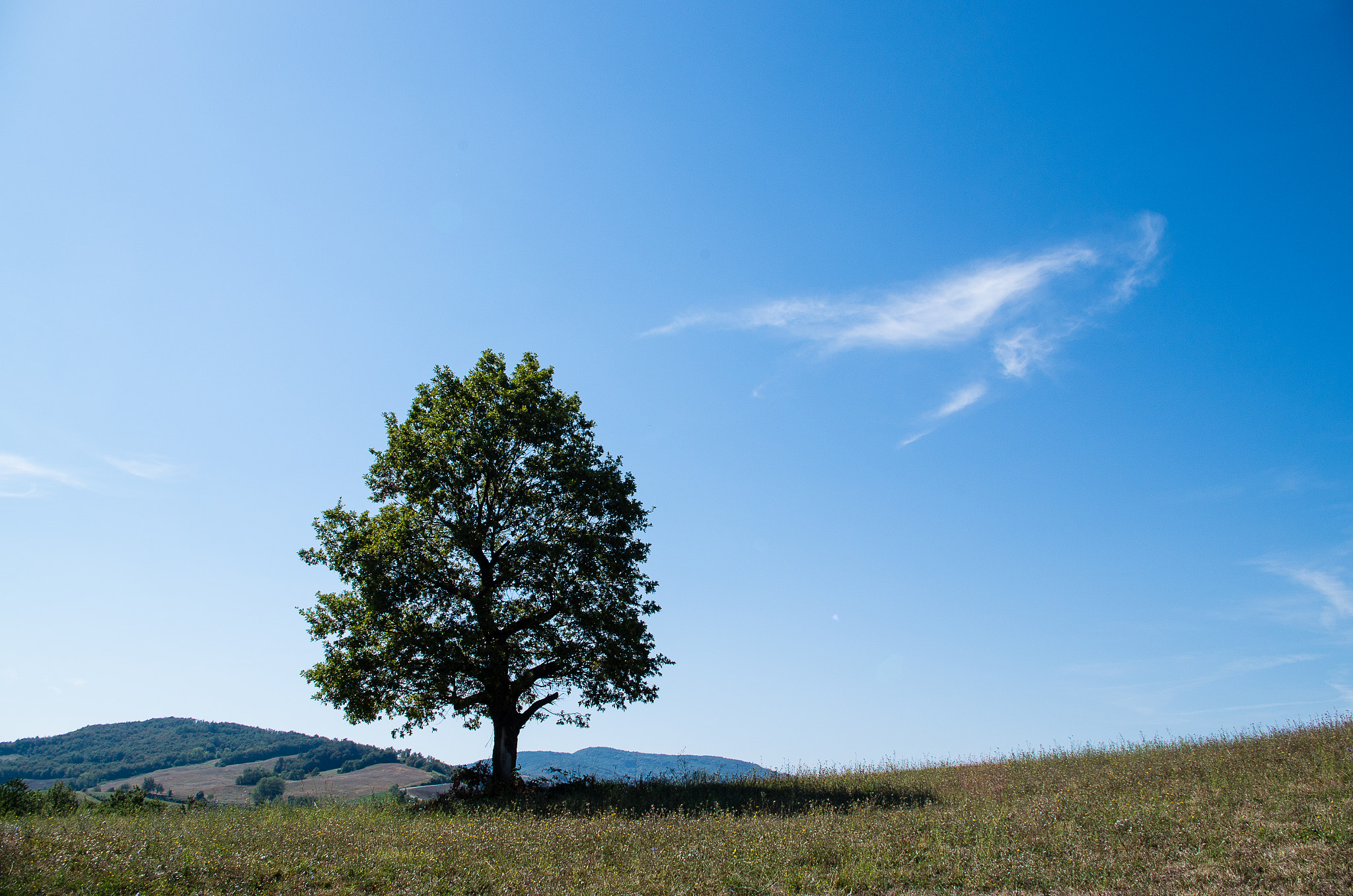 Pentax K-30 sample photo. The tree, the sky and the apennines [in colour] photography