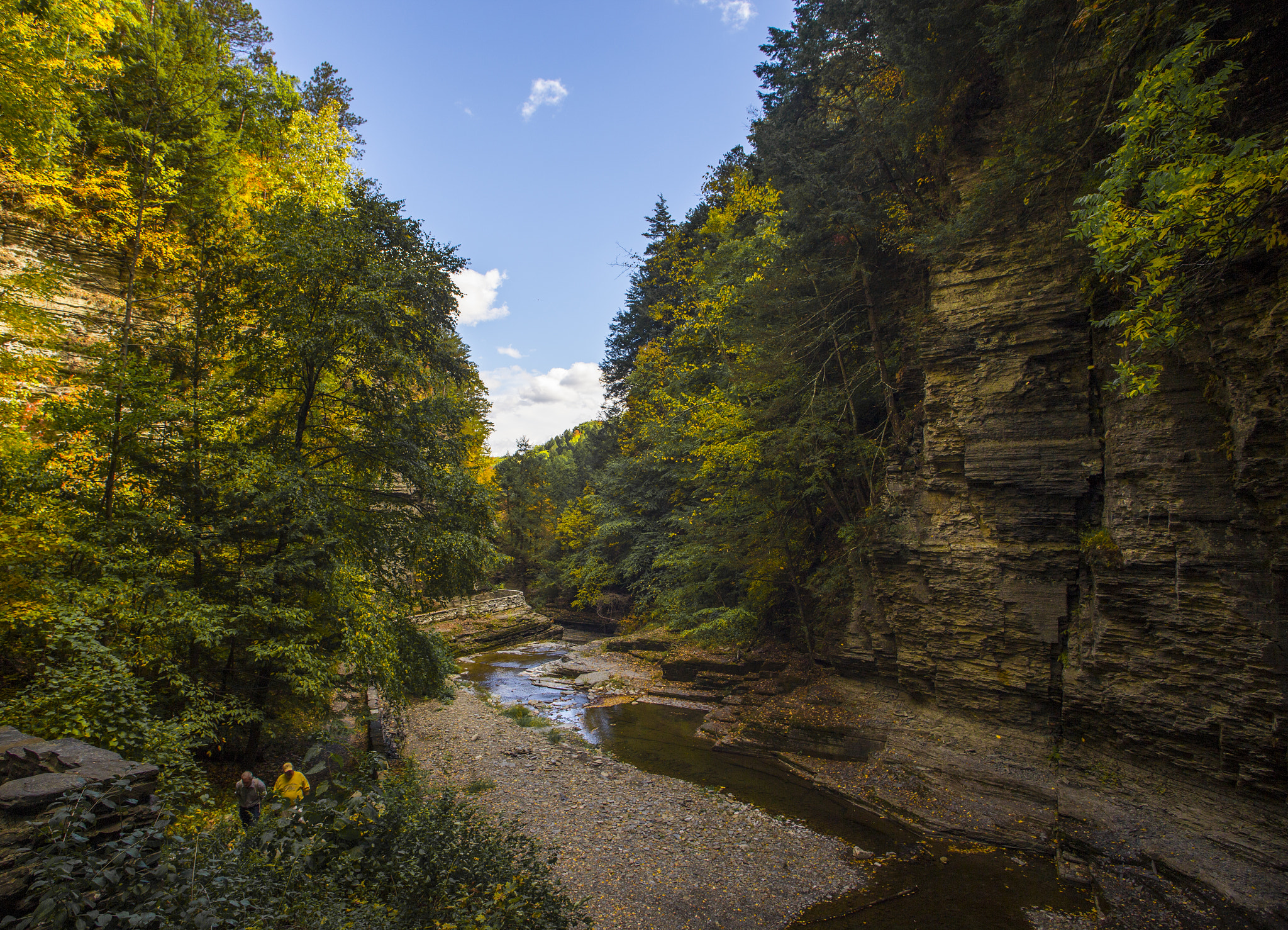 Canon EOS 6D + Canon EF 20-35mm F3.5-4.5 USM sample photo. Creek photography