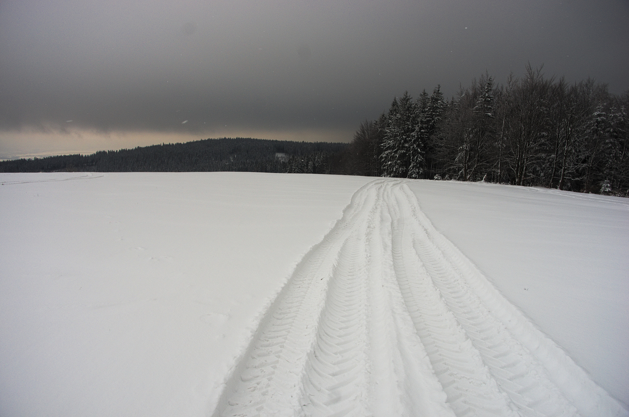 Pentax smc DA 15mm F4 ED AL Limited sample photo. Into dark forest photography