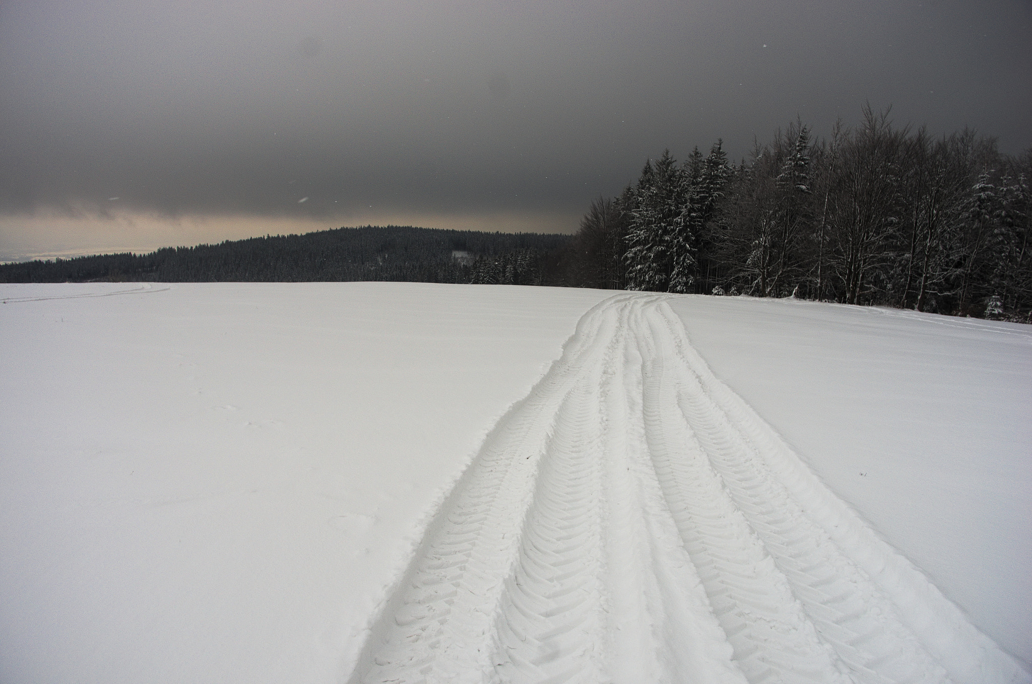 Pentax K-5 sample photo. Into dark forest photography