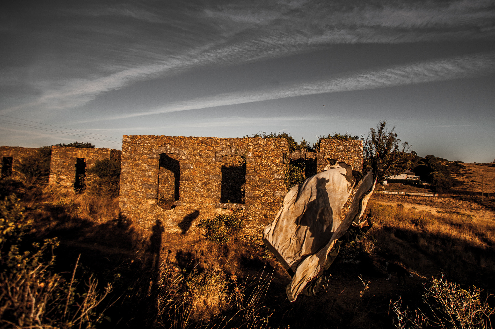 Canon EOS 5D + Canon EF 17-35mm f/2.8L sample photo. Abandoned photography