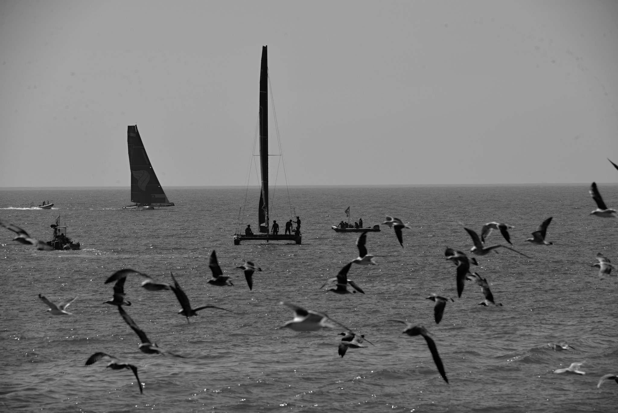 Sigma 150-500mm F5-6.3 DG OS HSM sample photo. Extreme sailing series photography