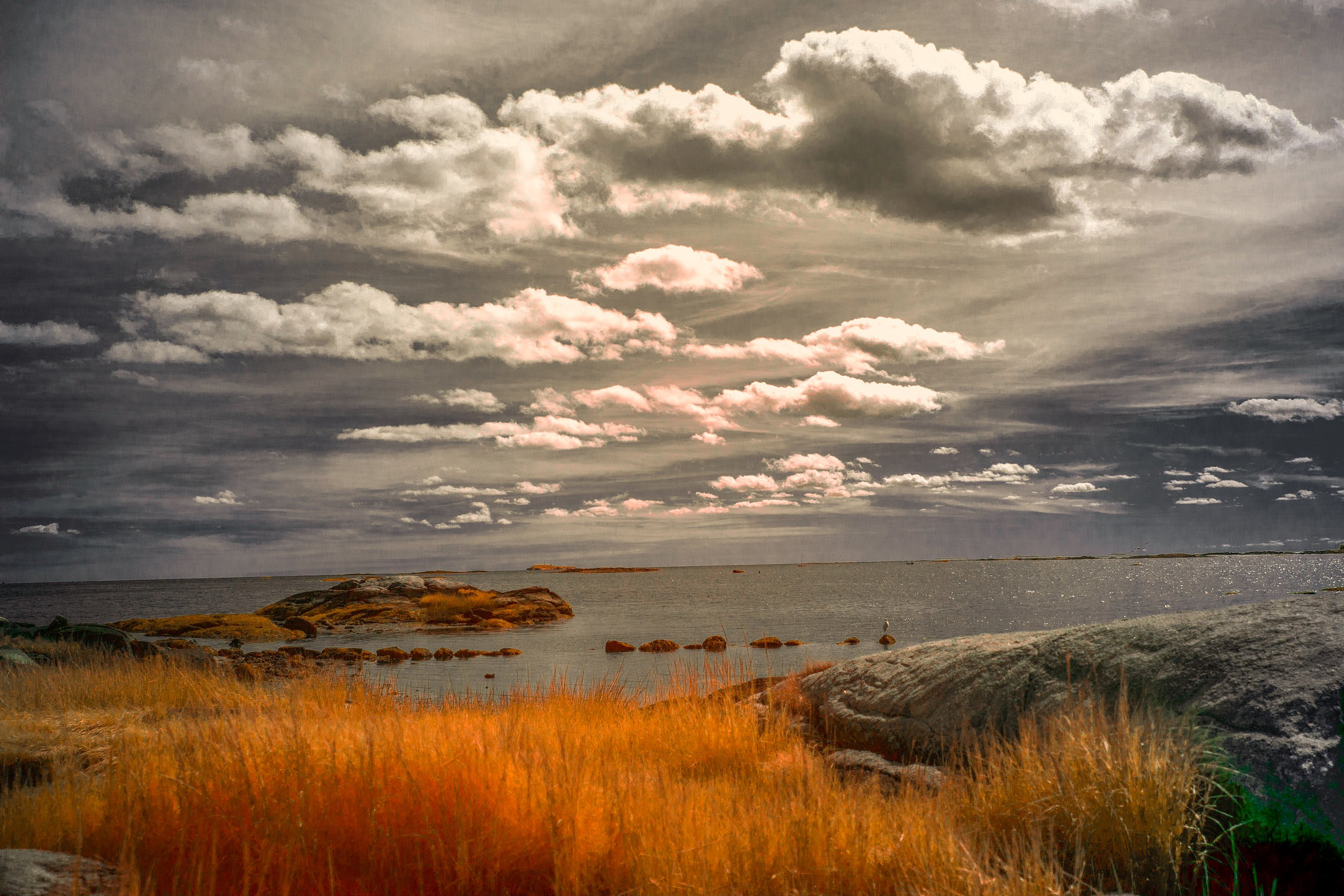 Sony Vario-Sonnar T* 24-70mm F2.8 ZA SSM II sample photo. Chaffinch island, connecticut photography