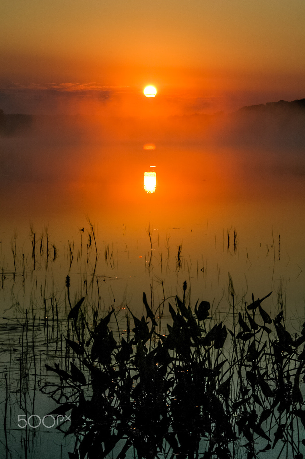 Nikon D70s sample photo. Smoking lake... ahmic photography