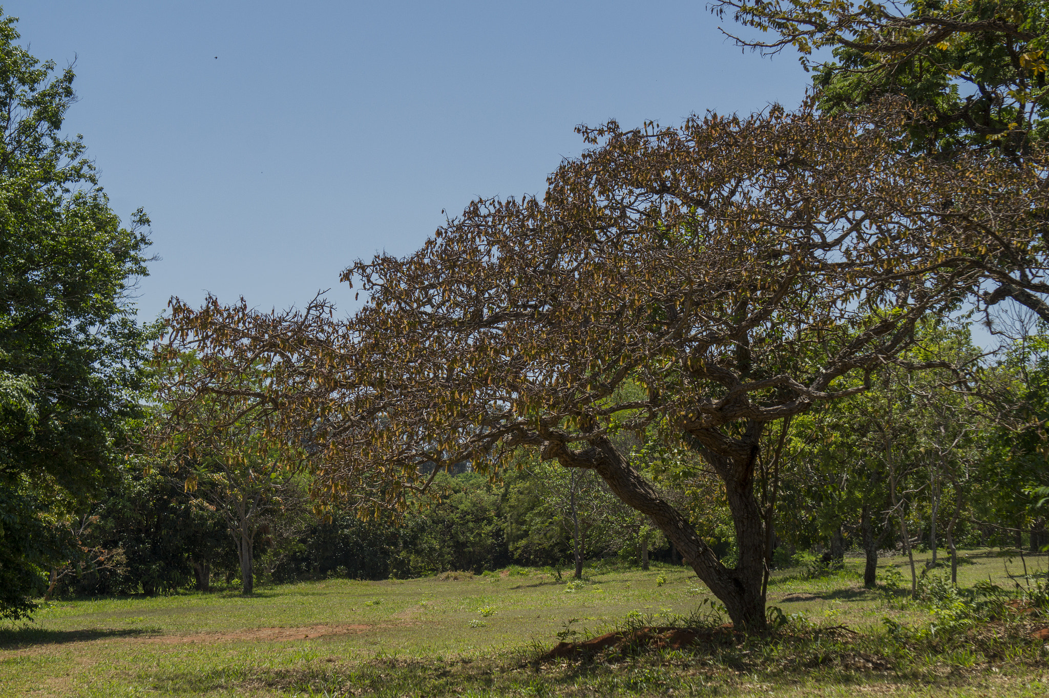 Sony Alpha a3500 sample photo