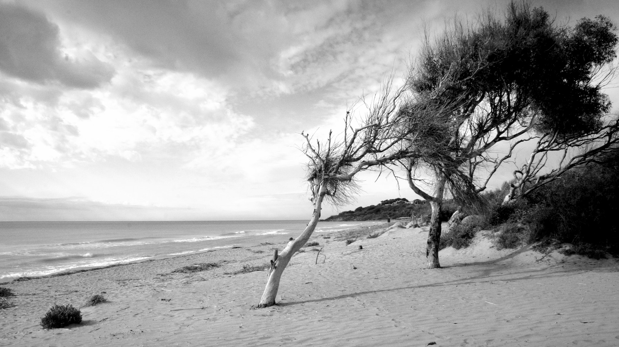 Tamron 18-200mm F3.5-6.3 Di III VC sample photo. Windy... photography