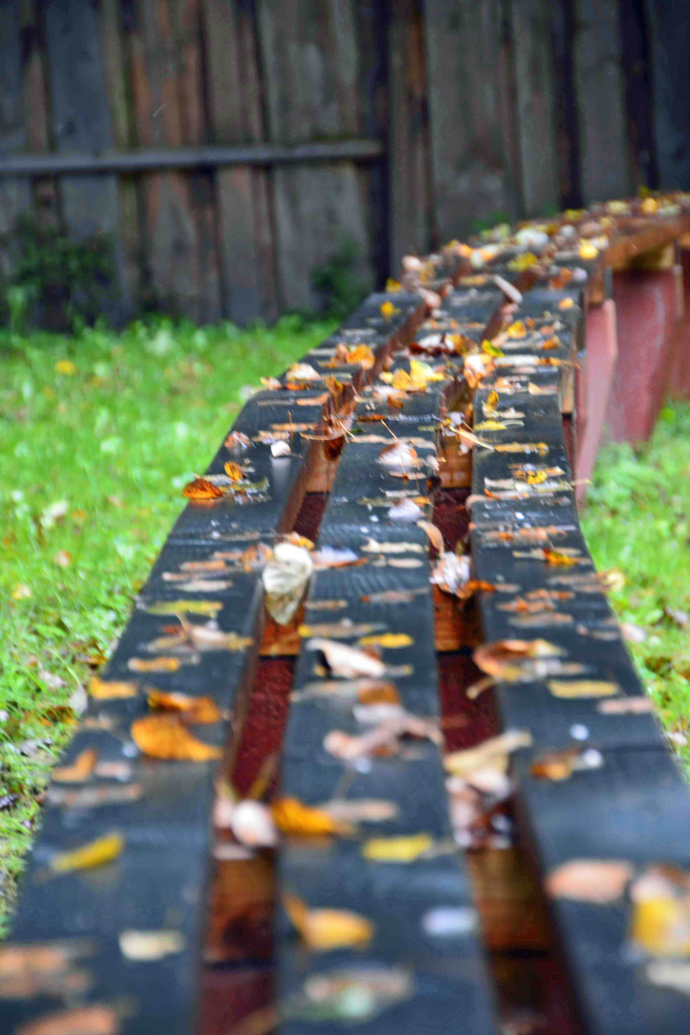 Sigma 18-250mm F3.5-6.3 DC OS HSM sample photo. Autumn is coming photography