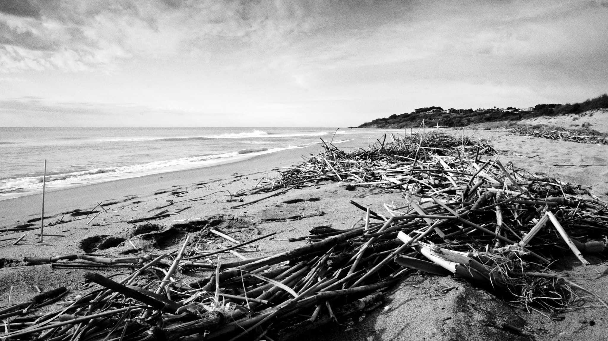 Sony Alpha NEX-5 + Tamron 18-200mm F3.5-6.3 Di III VC sample photo. After the storm.... photography