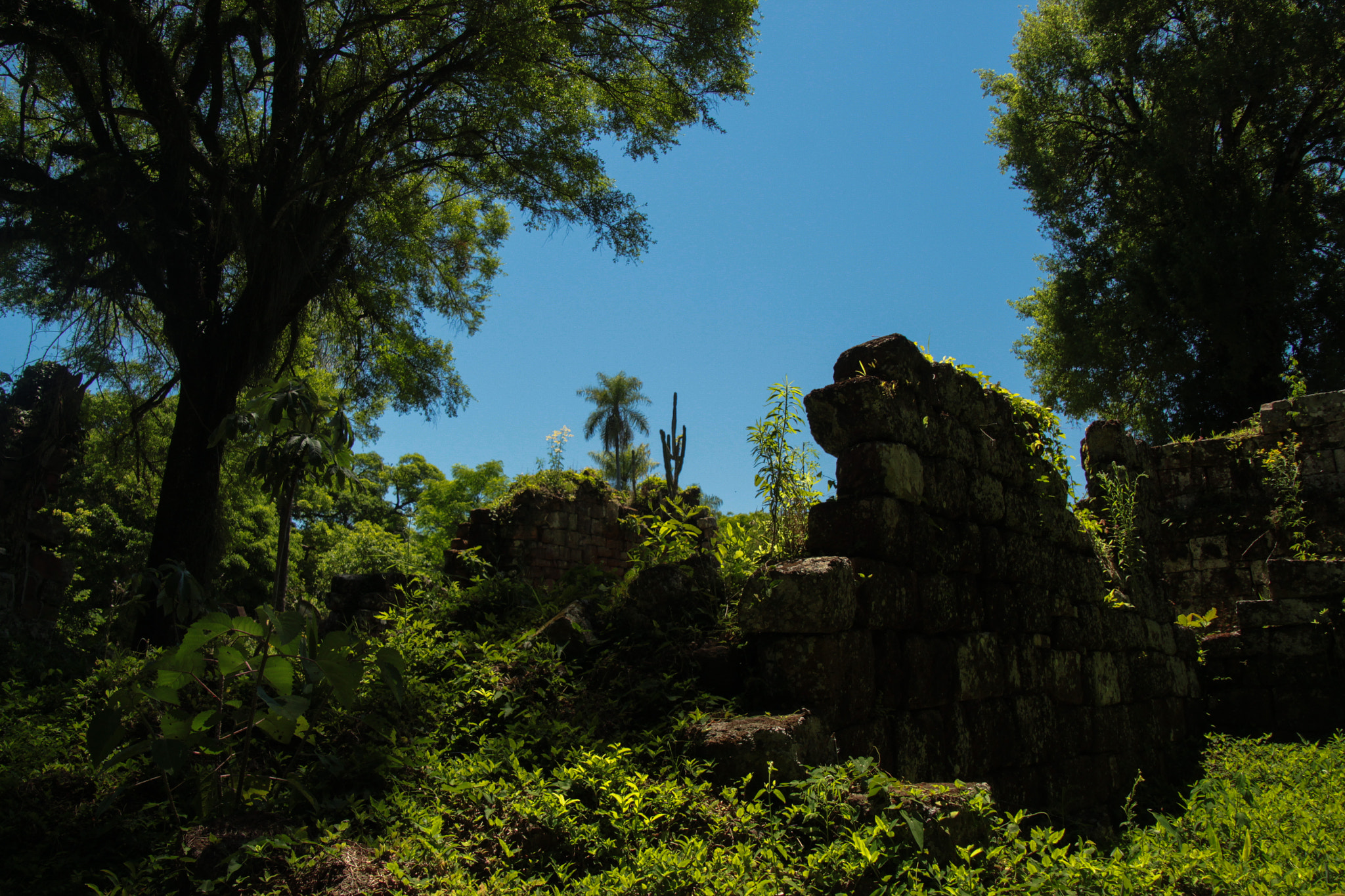 Canon EOS 700D (EOS Rebel T5i / EOS Kiss X7i) sample photo. Ruinas santa ana photography