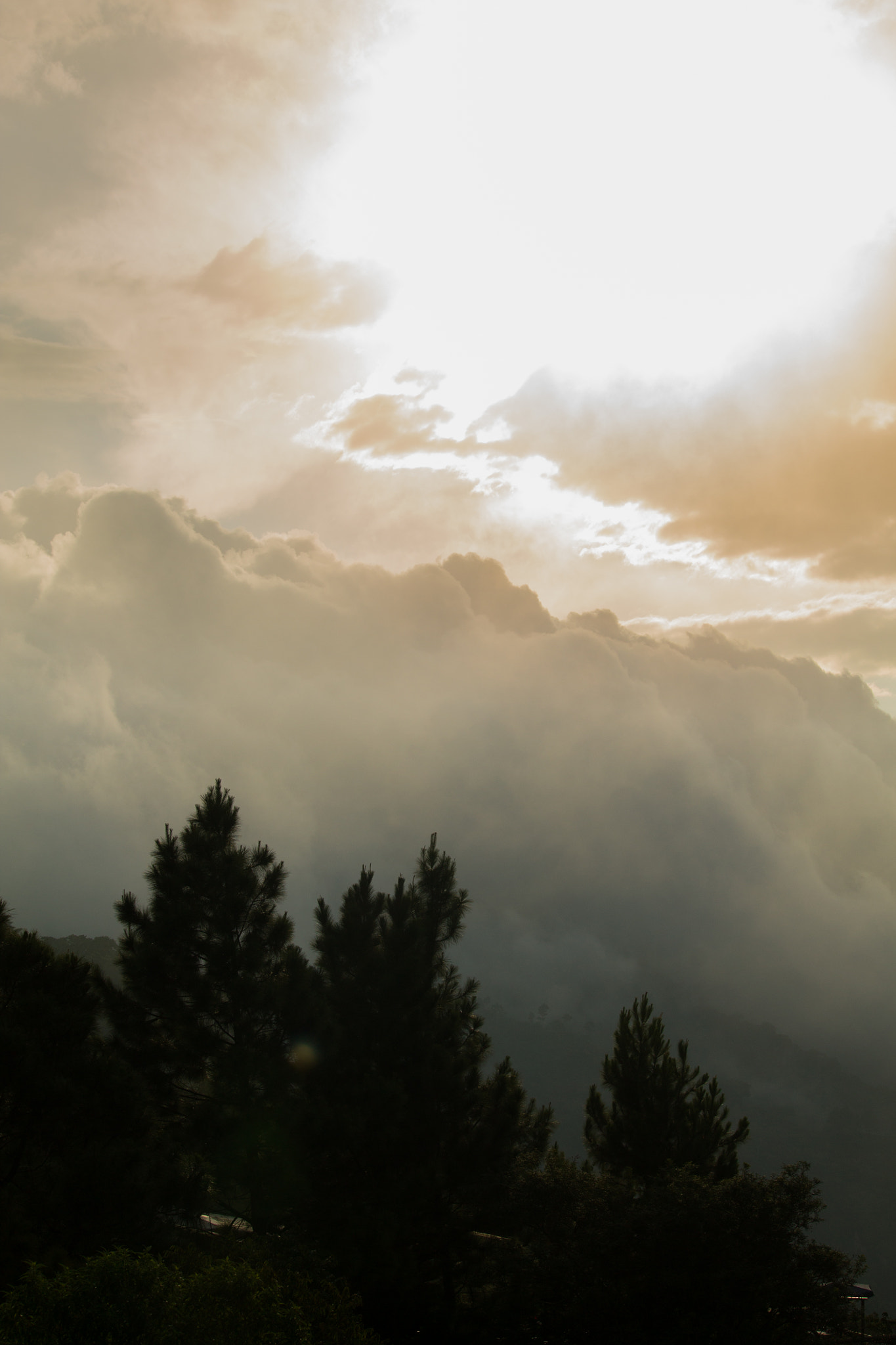 Canon EF-S 55-250mm F4-5.6 IS STM sample photo. View from nirvana photography
