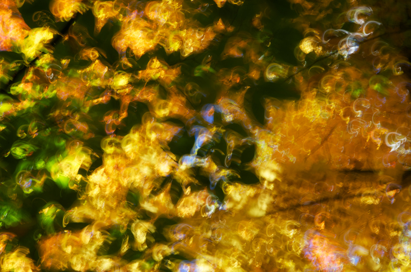 Pentax K-5 II sample photo. Fall impression (2016) photography