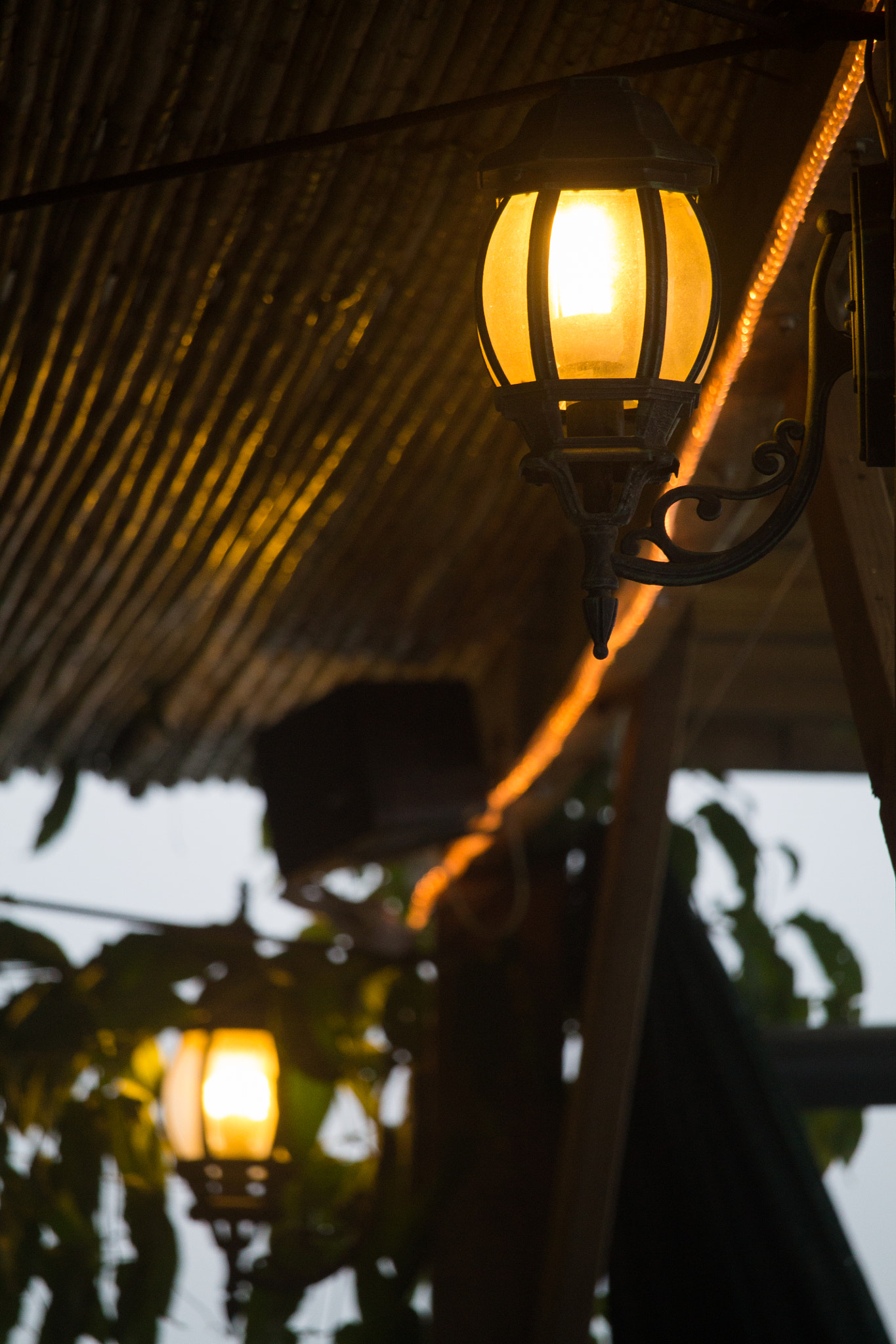 Canon EF-S 55-250mm F4-5.6 IS STM sample photo. Lightings beauty photography