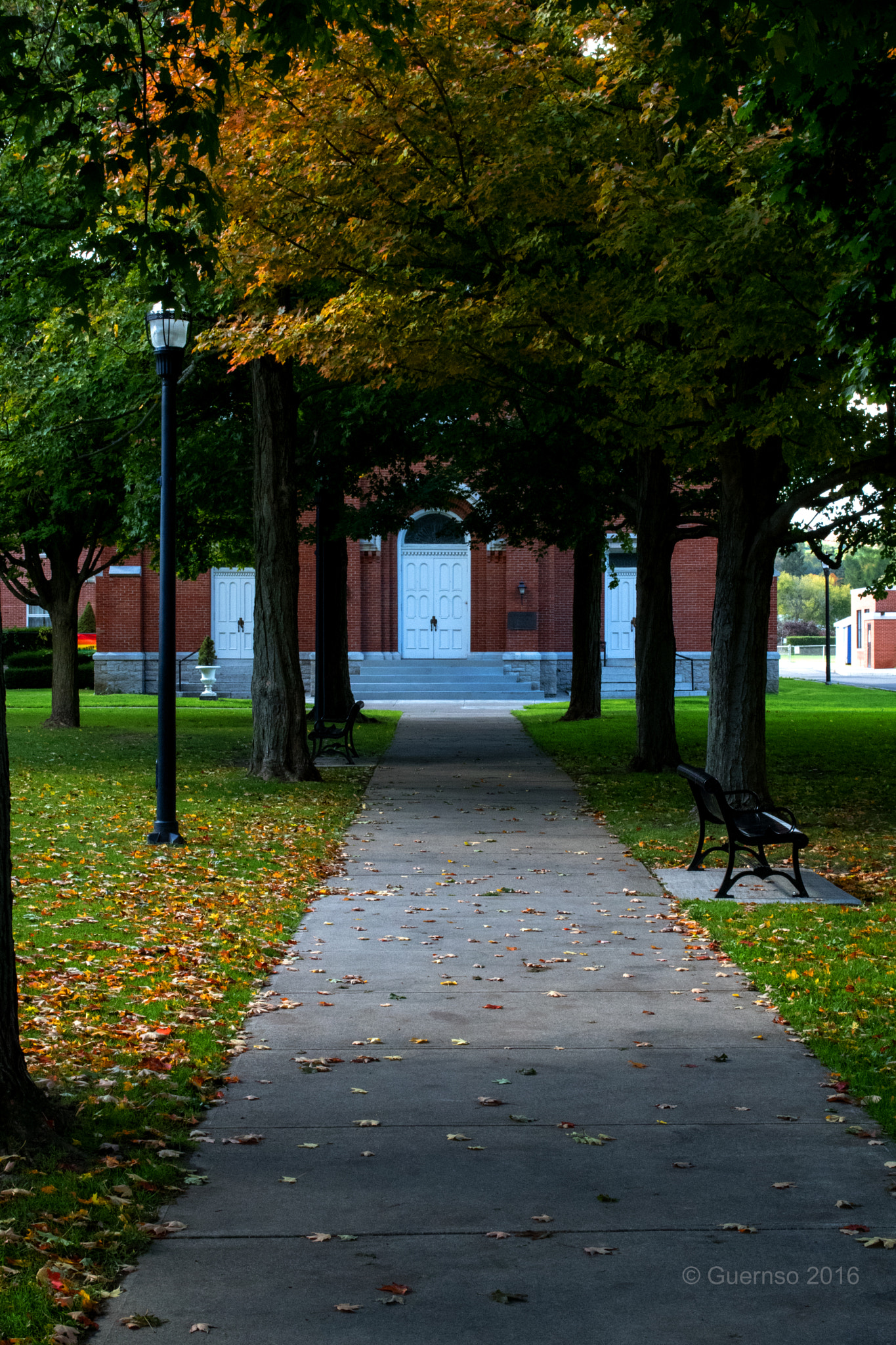 Nikon D500 sample photo. To the door photography