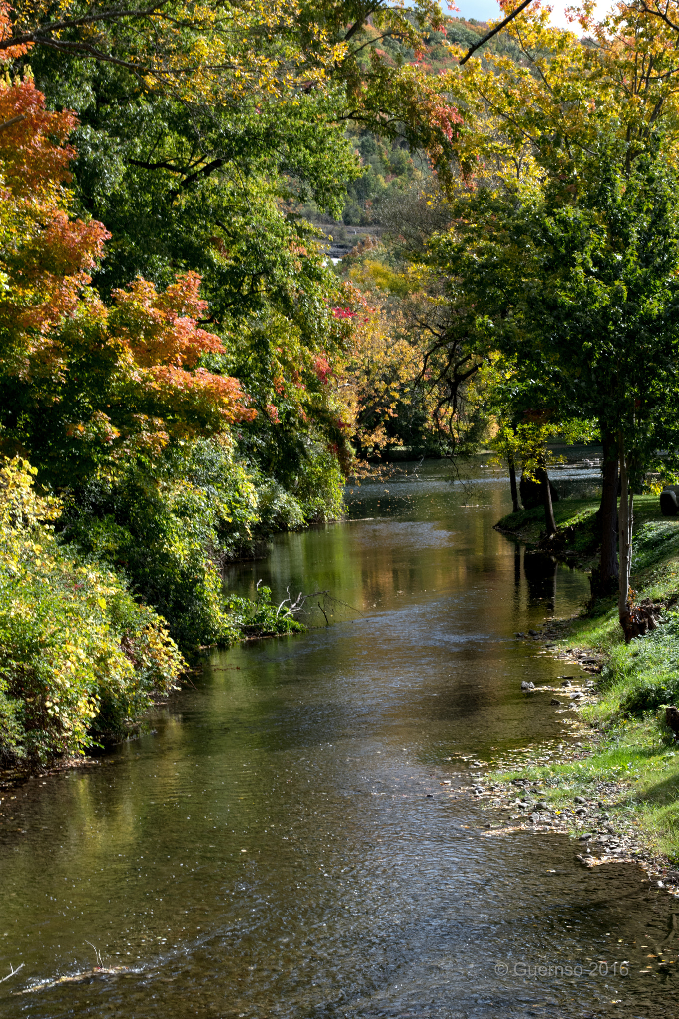 Nikon D500 sample photo. Signs of fall photography