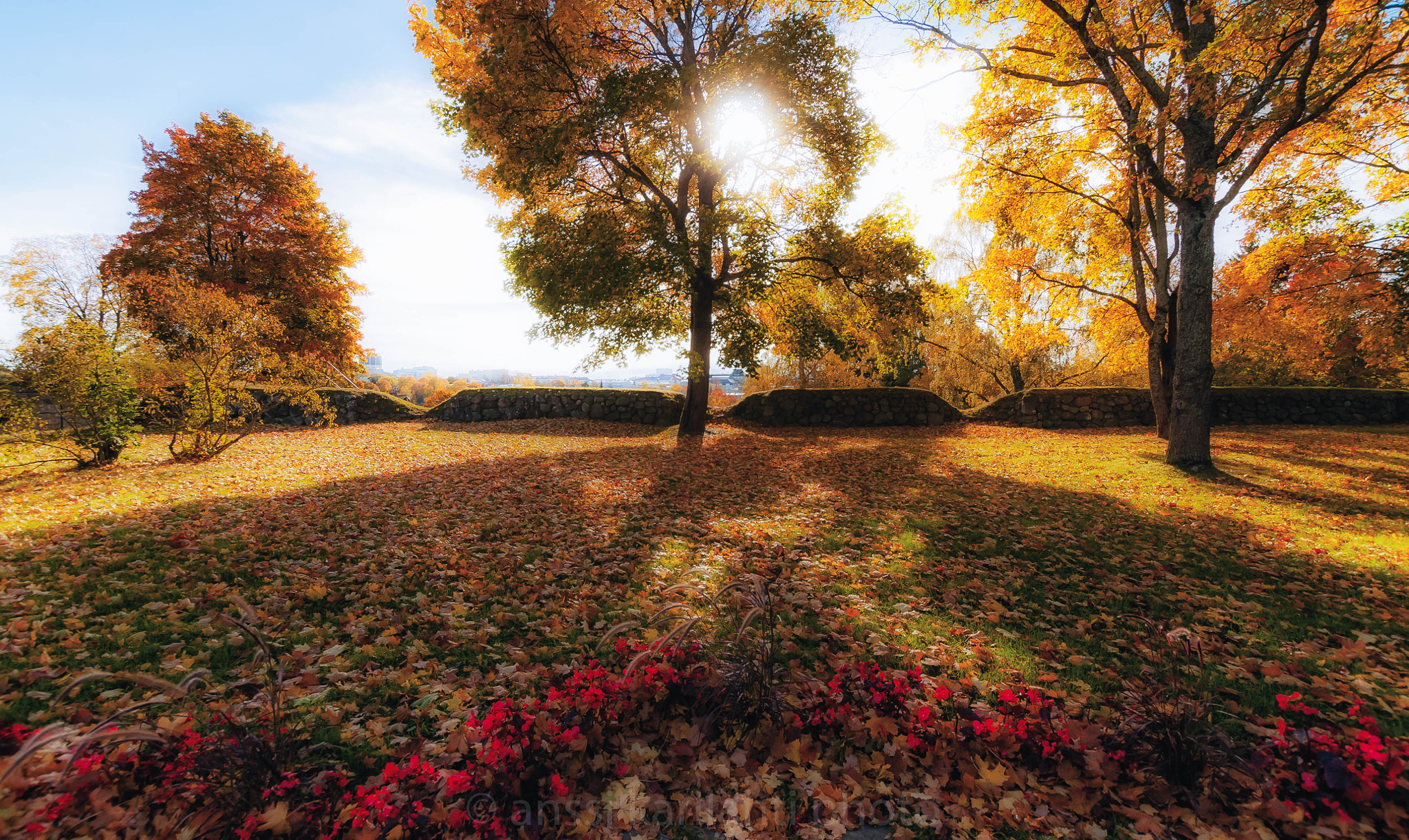 Nikon D300 + Sigma 10-20mm F3.5 EX DC HSM sample photo. Nice day in park ii photography