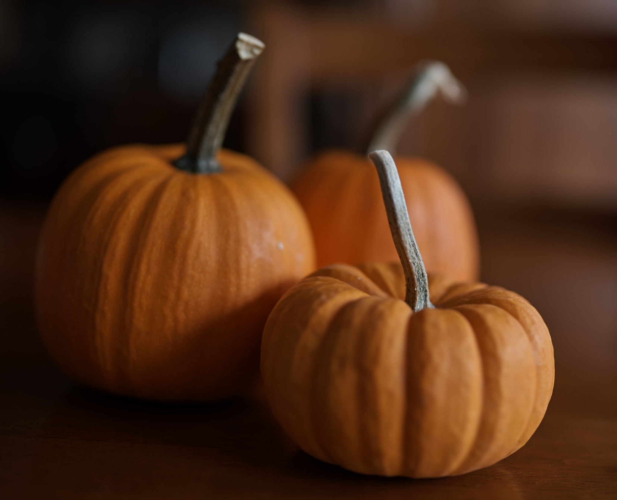 Nikon D750 sample photo. Pumpkin photography