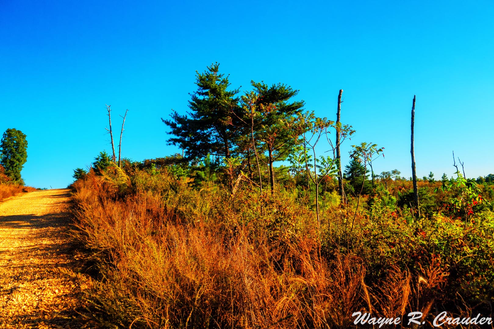 Panasonic Lumix DMC-GF5 sample photo. October drive photography