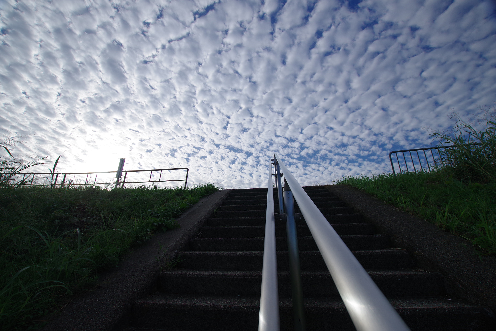 Sigma 10-20mm F3.5 EX DC HSM sample photo. Imgp photography