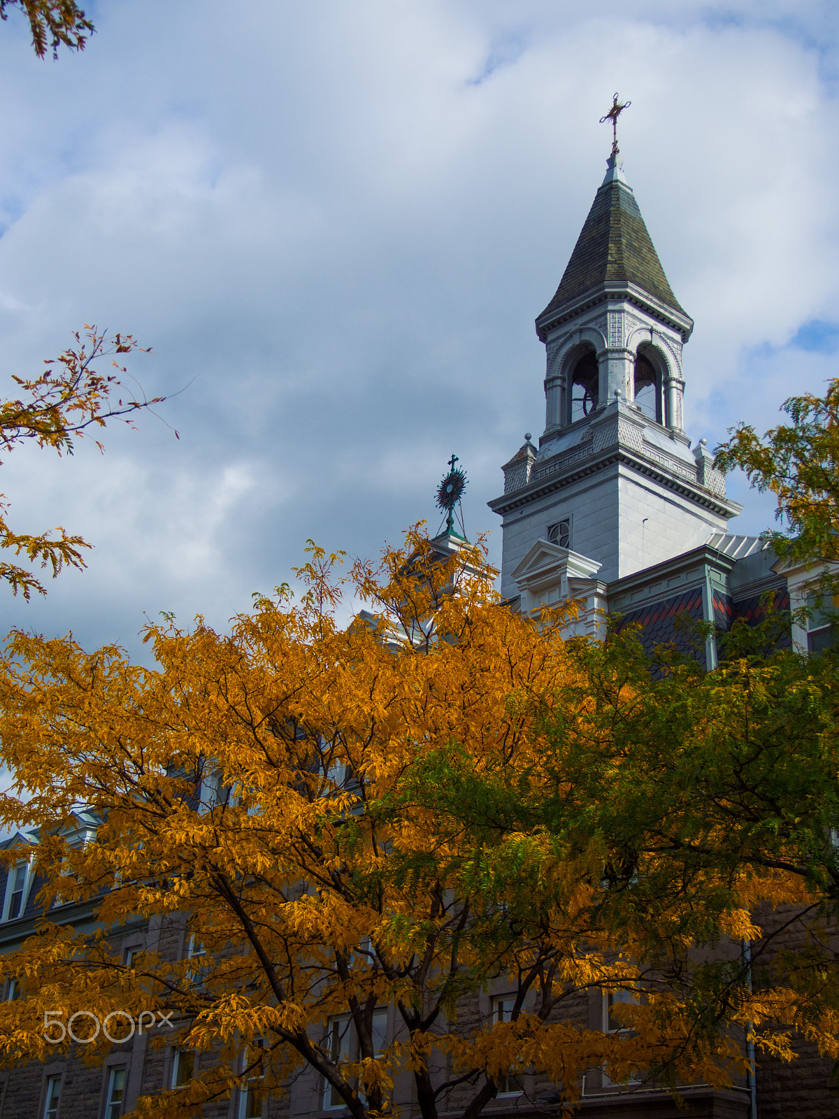Olympus PEN E-PM2 sample photo. Autumn is here photography