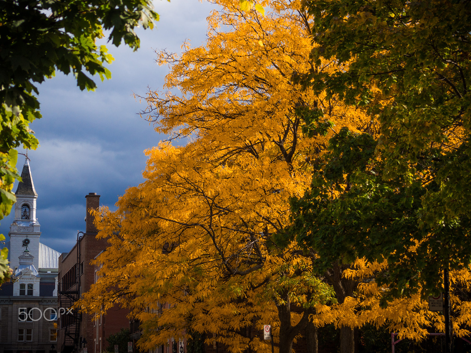 Olympus PEN E-PM2 sample photo. Autumn is here photography