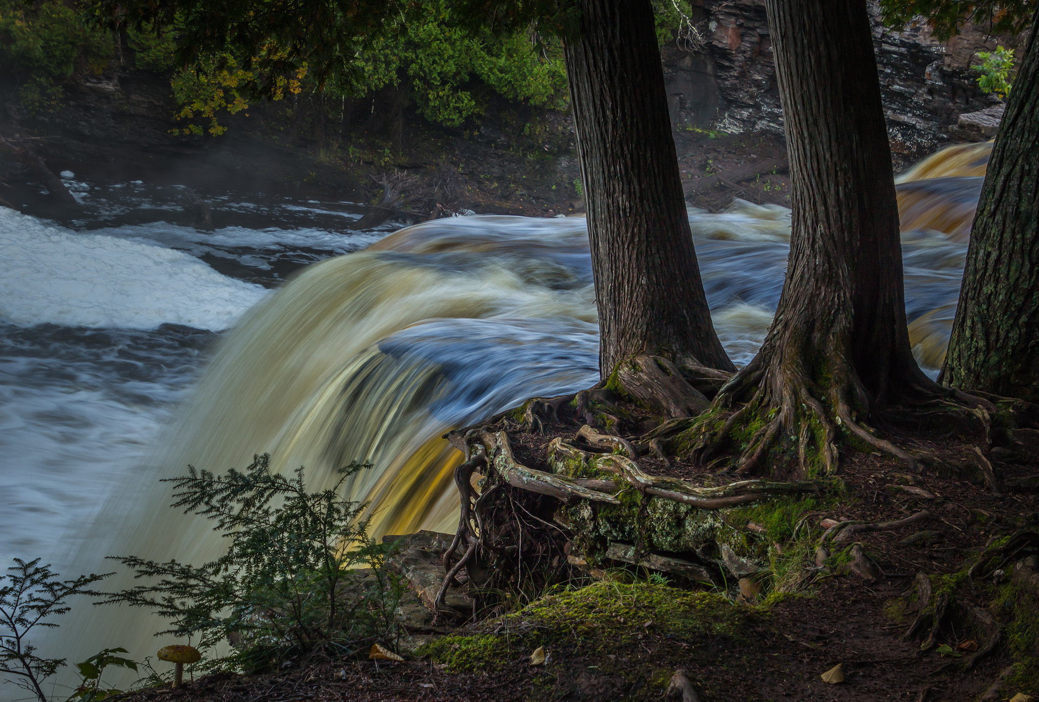 Canon EOS 100D (EOS Rebel SL1 / EOS Kiss X7) sample photo. Three tree waterfall photography
