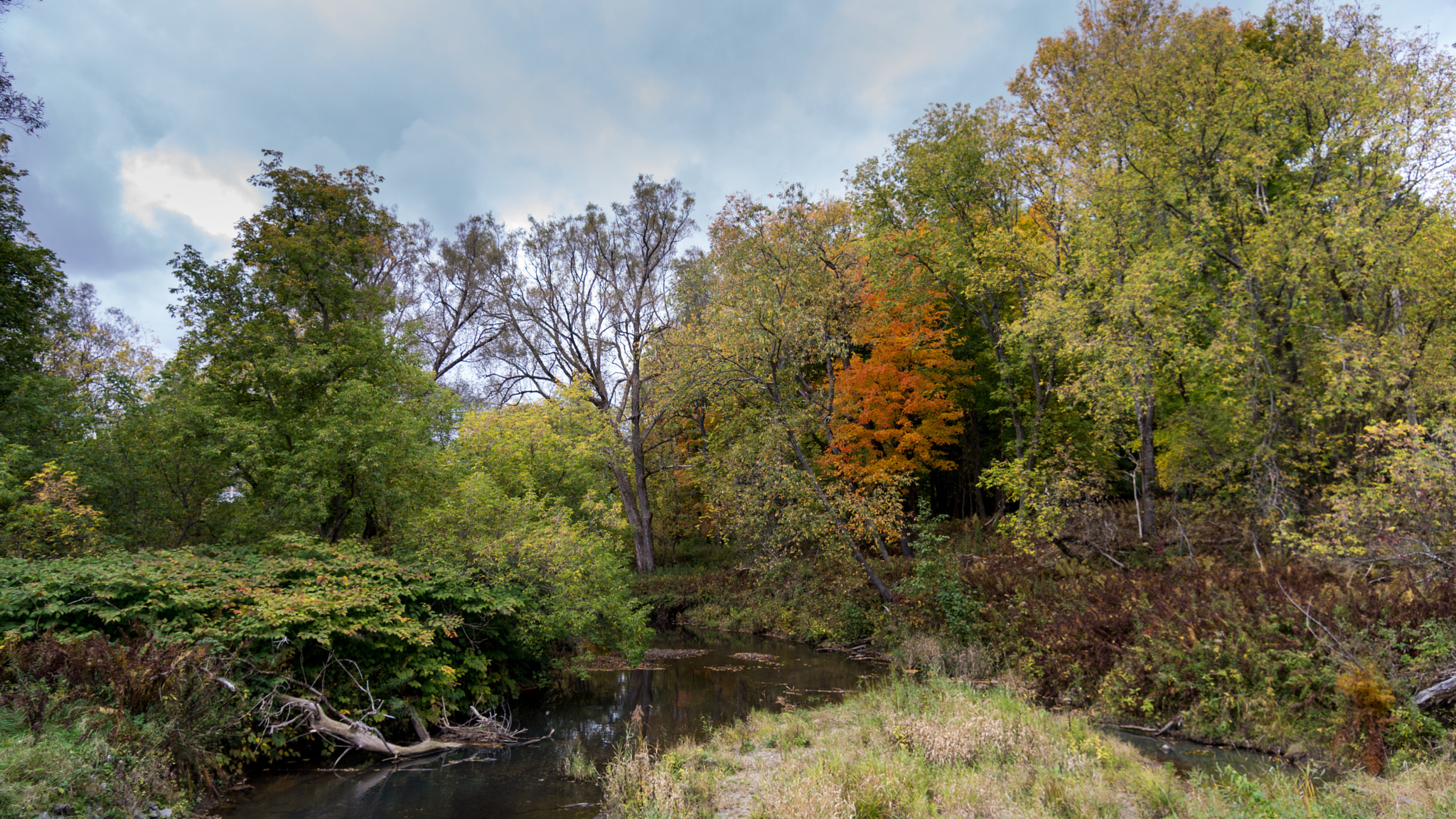 Sony SLT-A77 sample photo. River photography