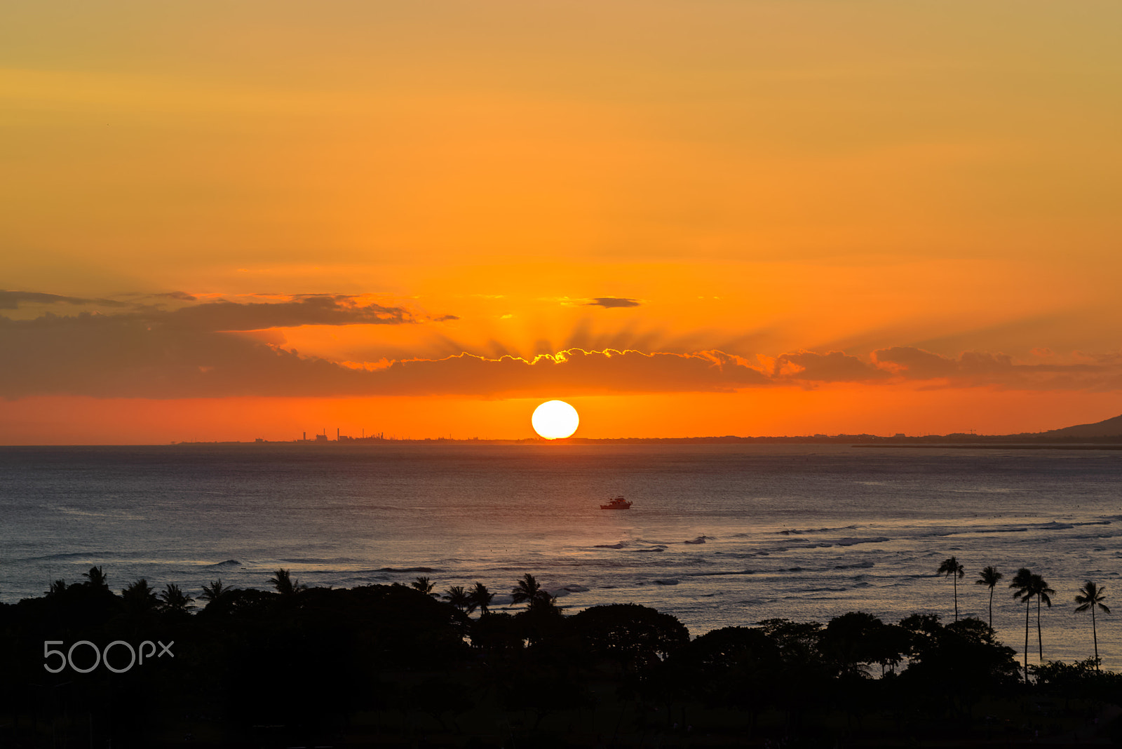 Nikon D800E sample photo. The silhouetted palms photography