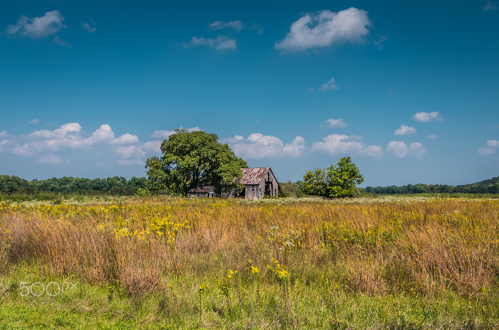 Sigma 17-70mm F2.8-4 DC Macro HSM | C sample photo. Old barn photography