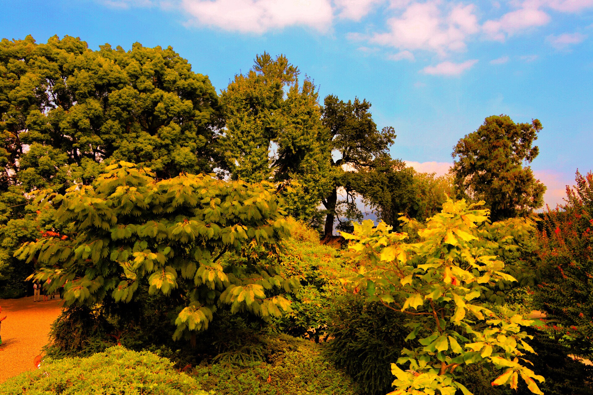 Canon 17-50mm sample photo