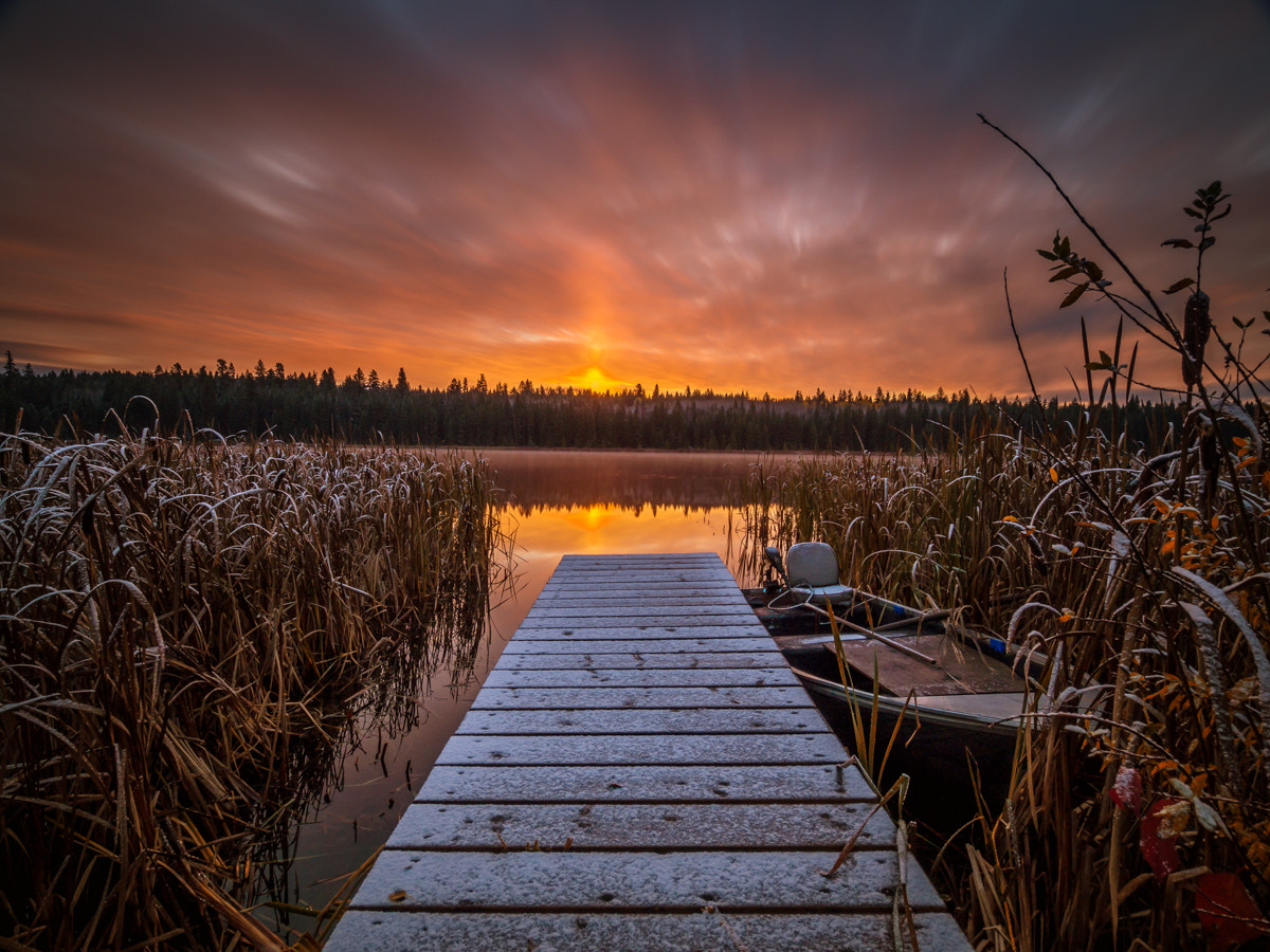 OLYMPUS M.9-18mm F4.0-5.6 sample photo. Frosty morning photography
