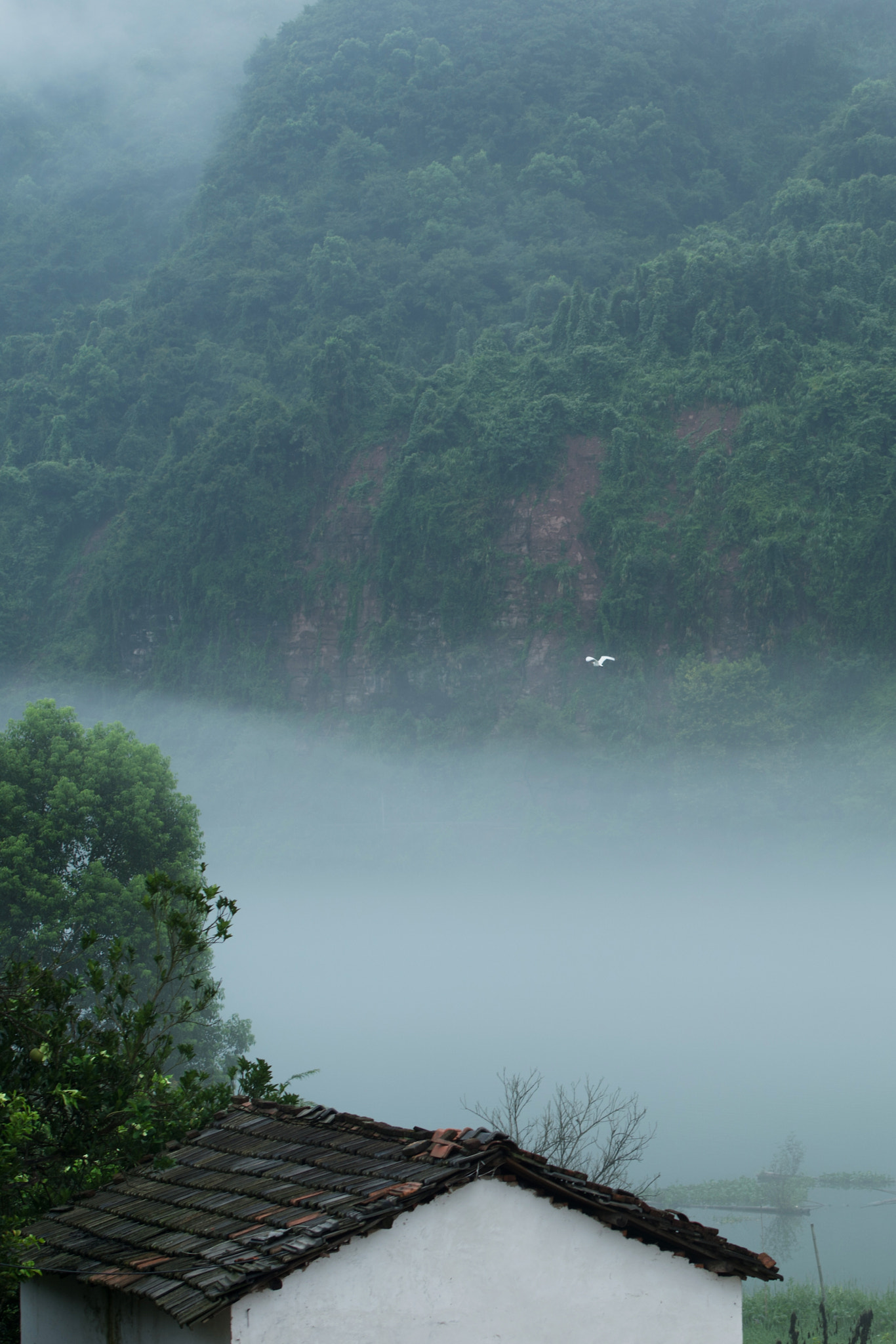 flying through the fog