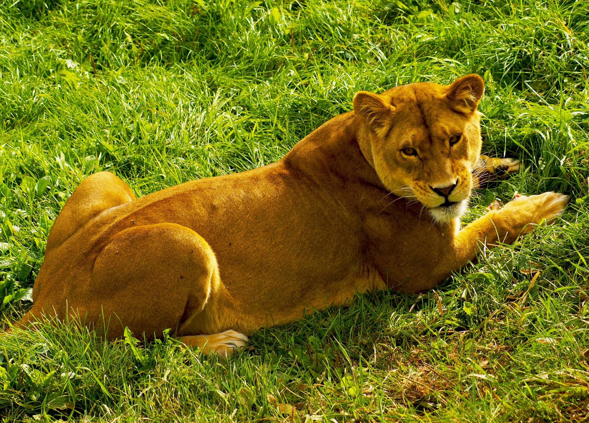 Sony 75-300mm F4.5-5.6 sample photo