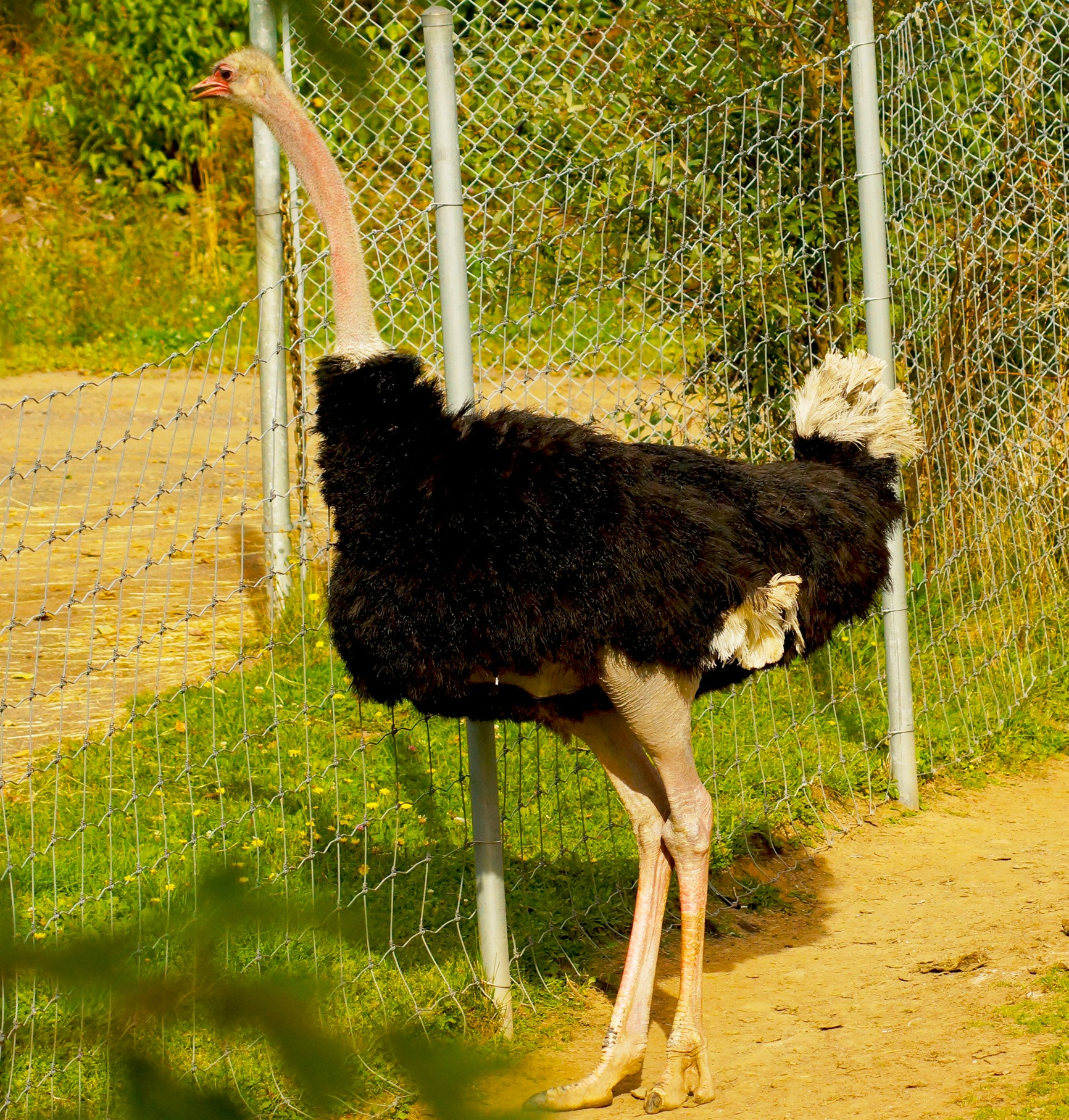 Sony 75-300mm F4.5-5.6 sample photo