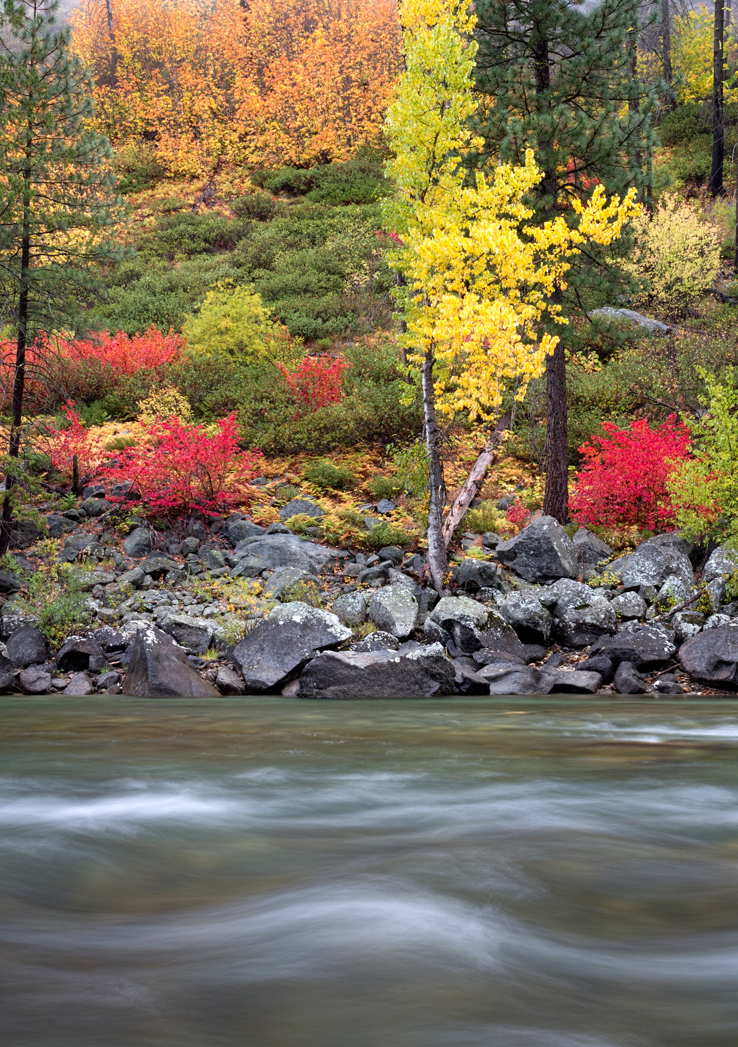 Canon EOS 100D (EOS Rebel SL1 / EOS Kiss X7) sample photo. Wenatchee river photography