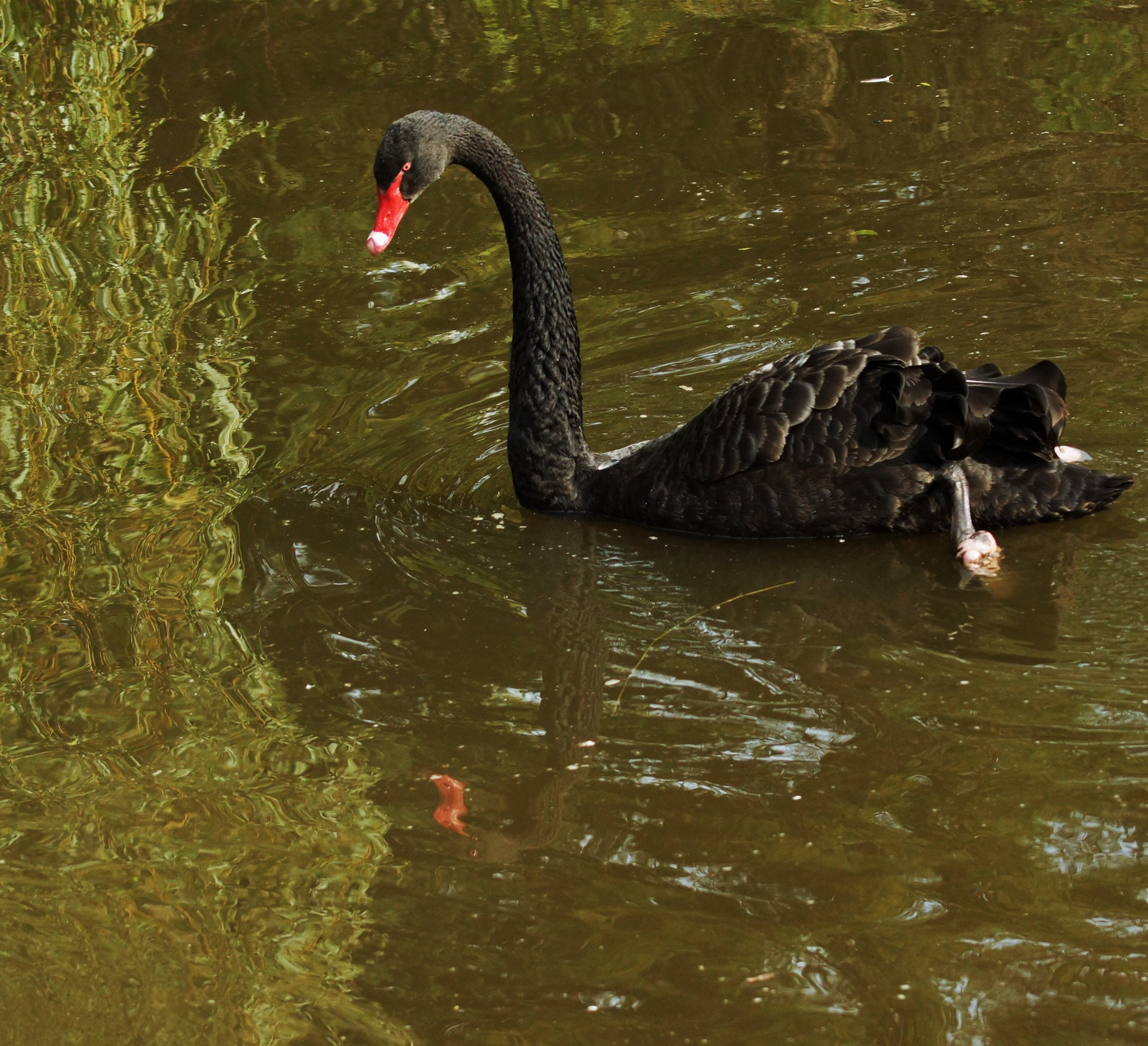 Sony 75-300mm F4.5-5.6 sample photo
