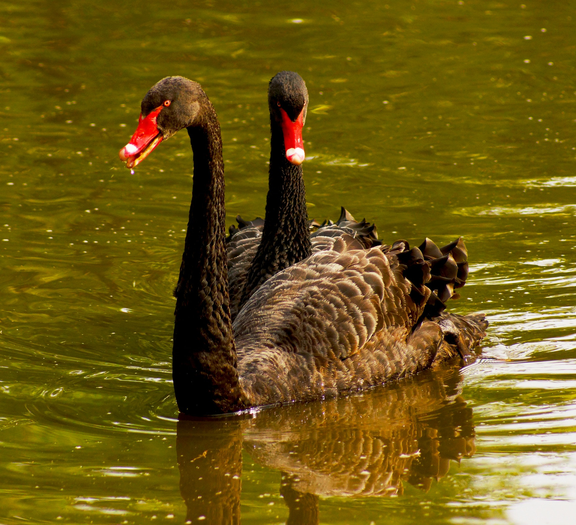 Sony 75-300mm F4.5-5.6 sample photo