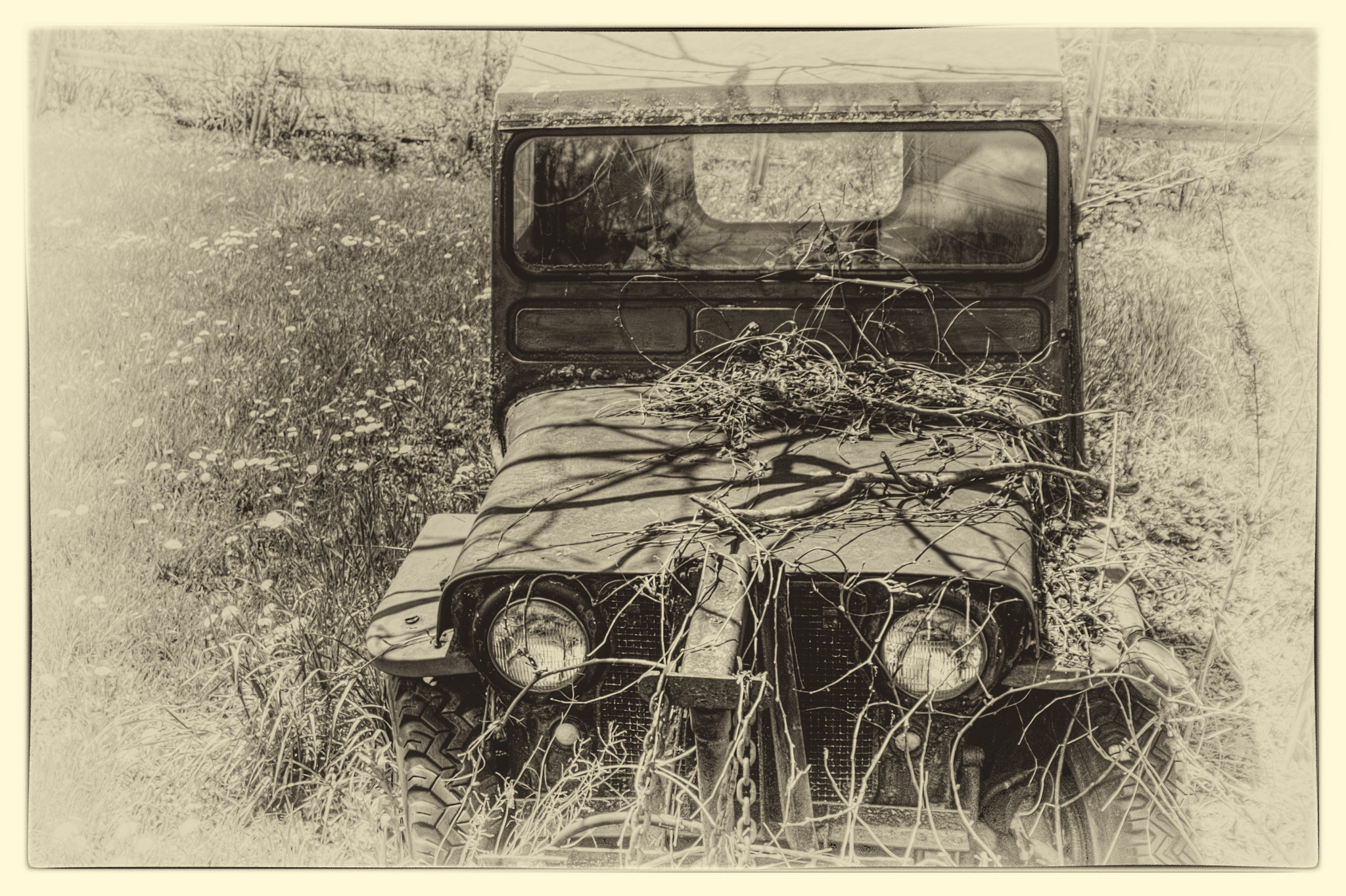 KONICA MINOLTA MAXXUM 7D sample photo. Field of rust photography