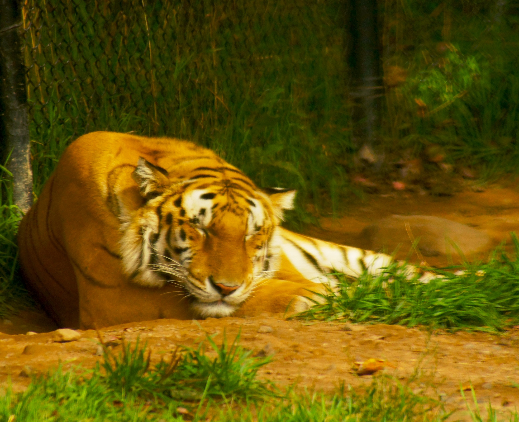 Sony 75-300mm F4.5-5.6 sample photo