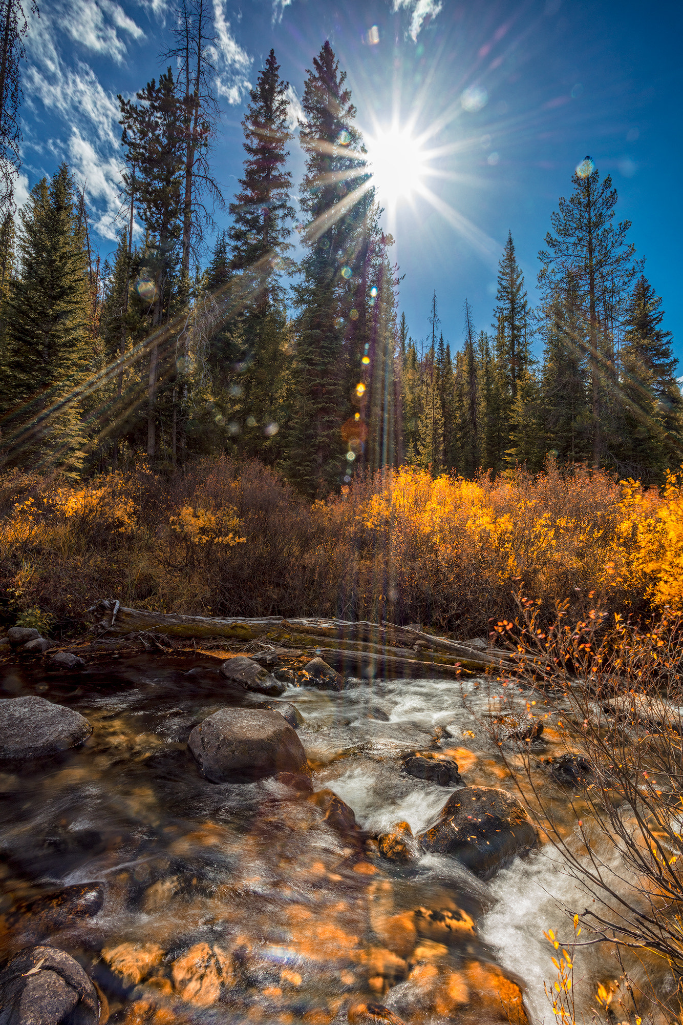 Canon EOS 5DS R + Canon EF 17-40mm F4L USM sample photo. 4th of july creek idaho sawtooth mountain's.  lee .9 nd grad and circular polarizer photography