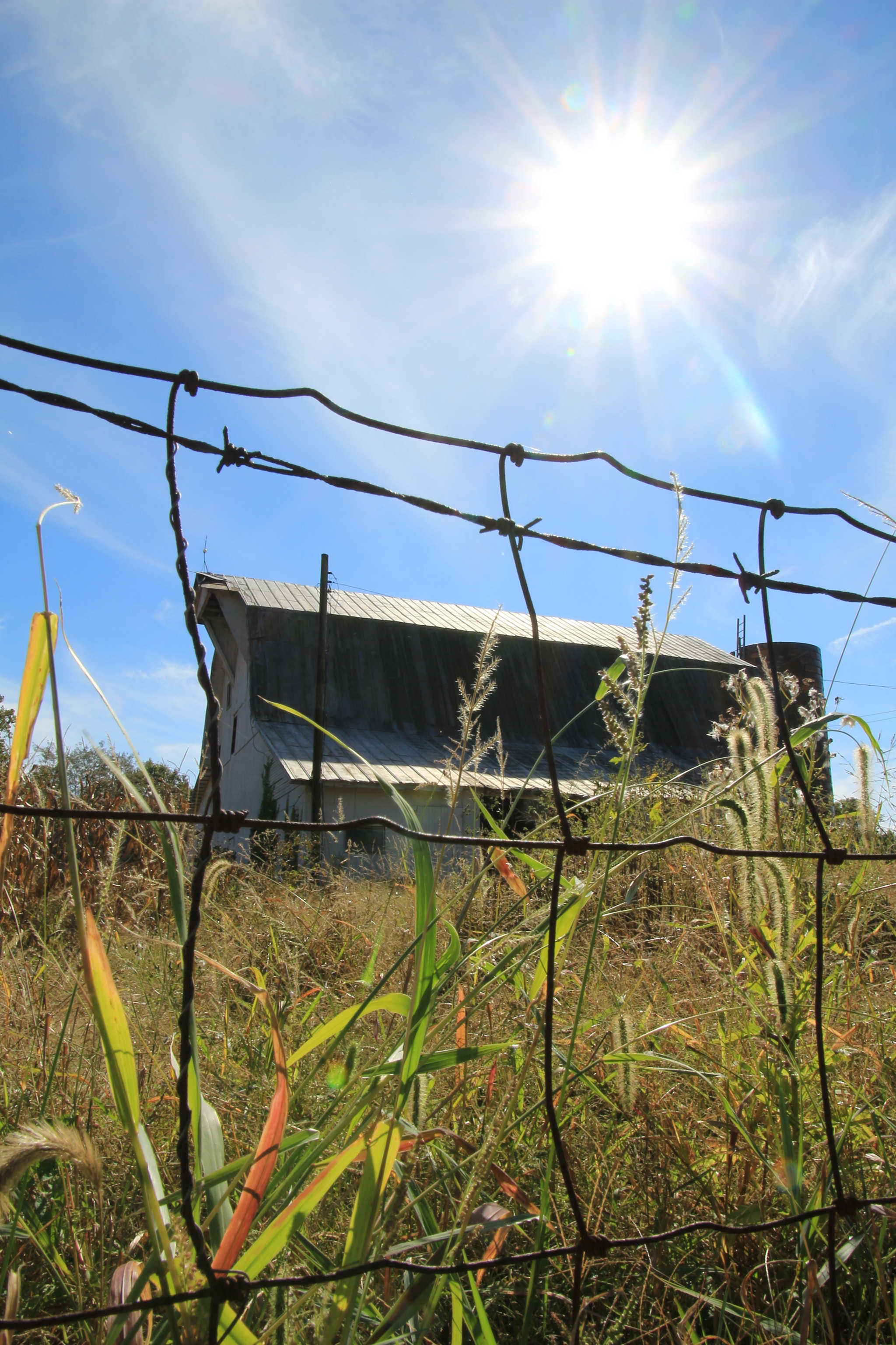 Canon EOS 700D (EOS Rebel T5i / EOS Kiss X7i) sample photo. Rural indiana photography