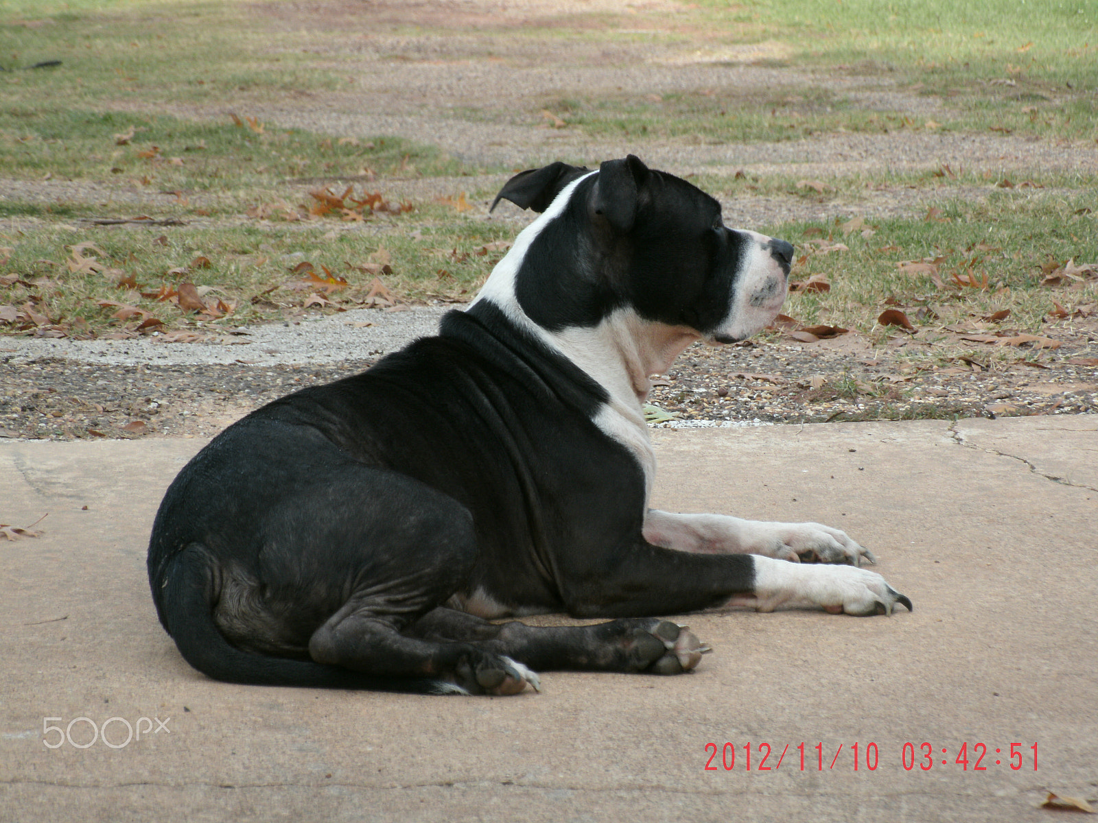 GENERAL IMAGING CO. A1455 sample photo. Diesel photography