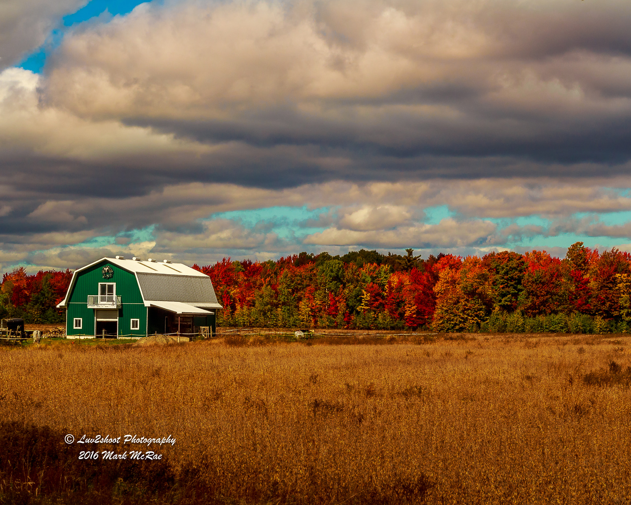 Canon EF 50mm f/1.8 sample photo. Autumn colours photography