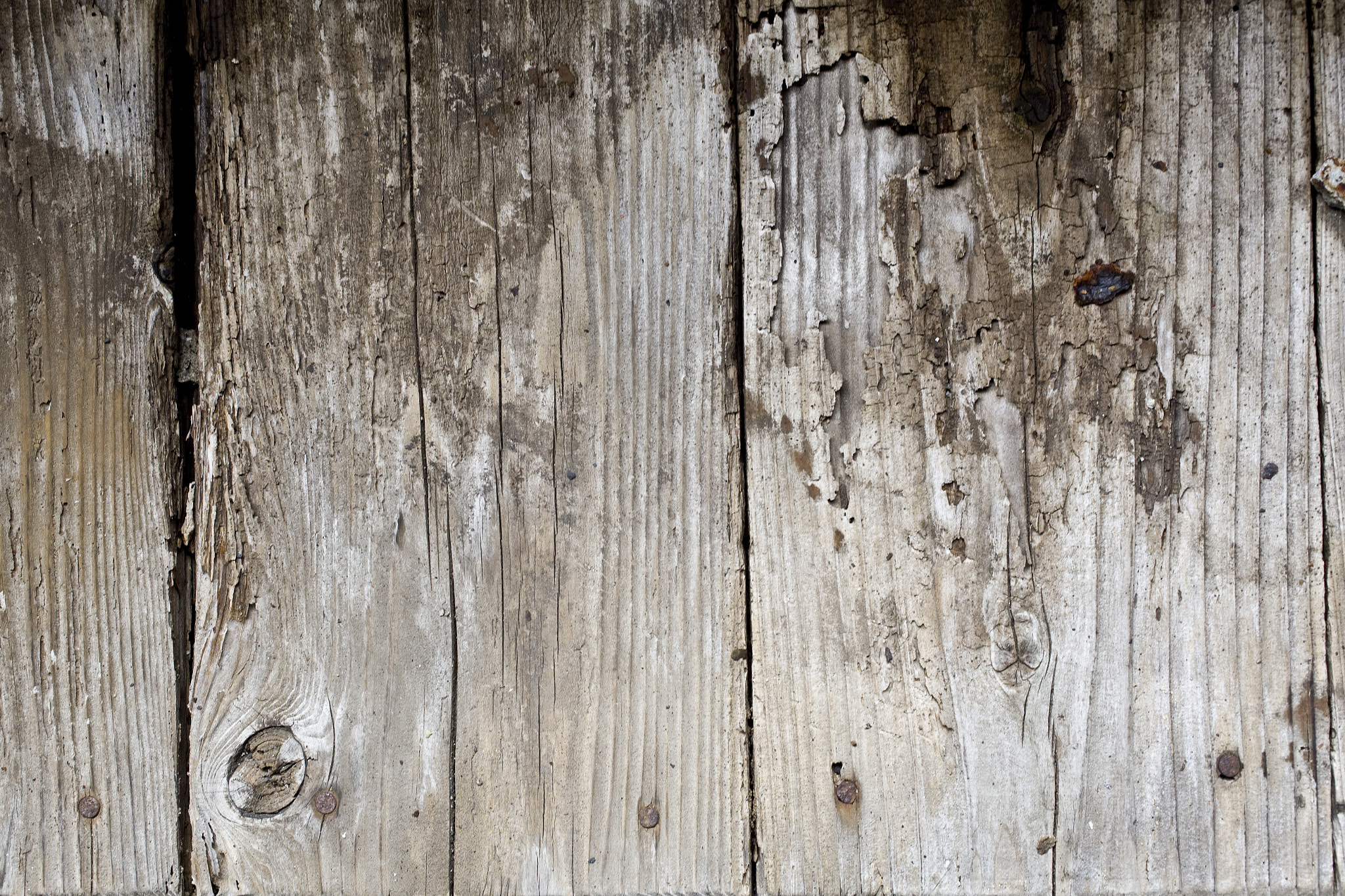 Canon EF 50mm F2.5 Macro sample photo. Grunge wood board texture photography