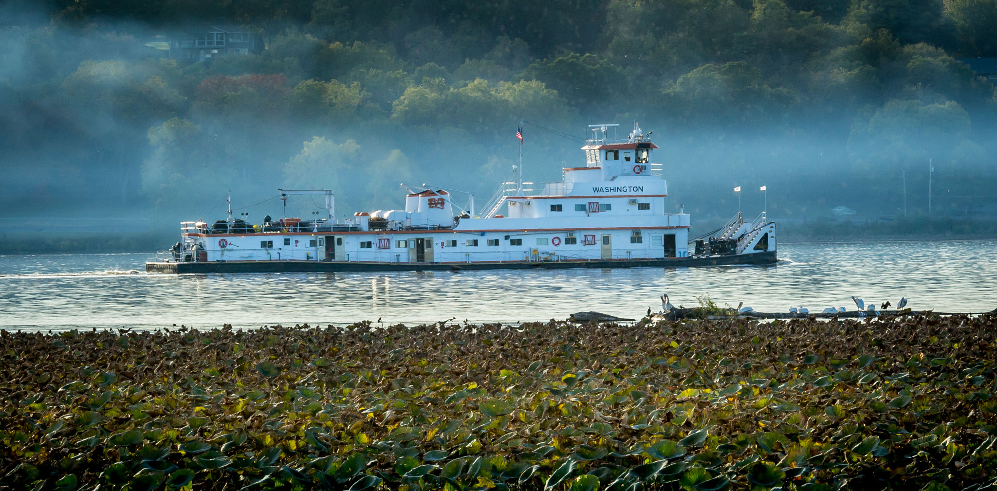 Sigma 70-200mm F2.8 EX DG OS HSM sample photo. Tow going upsteam photography