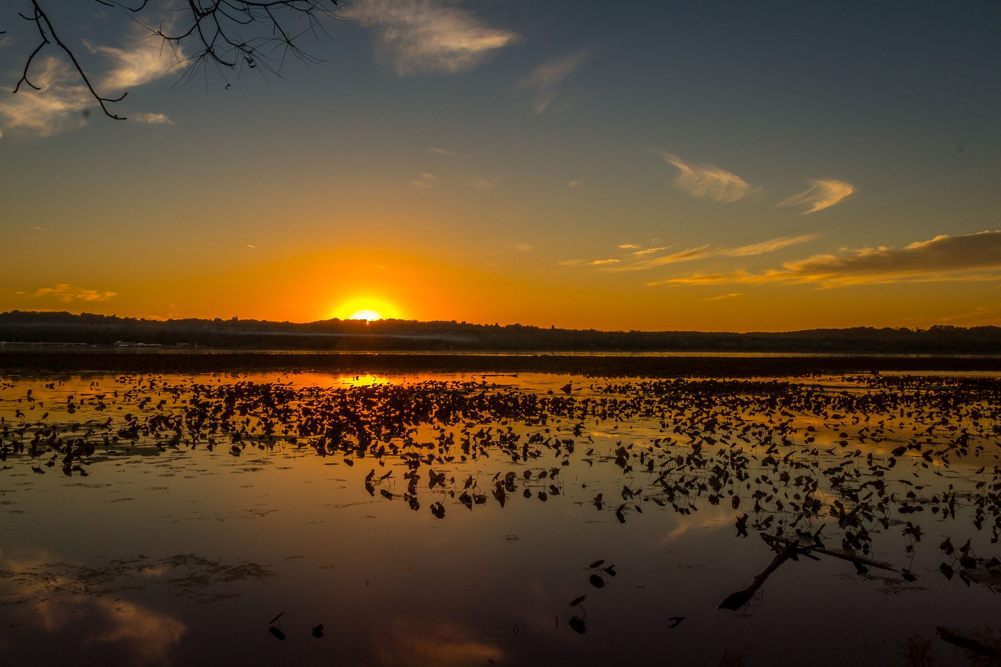 Canon EF-S 17-55mm F2.8 IS USM sample photo. Sun going down on the "pads" photography