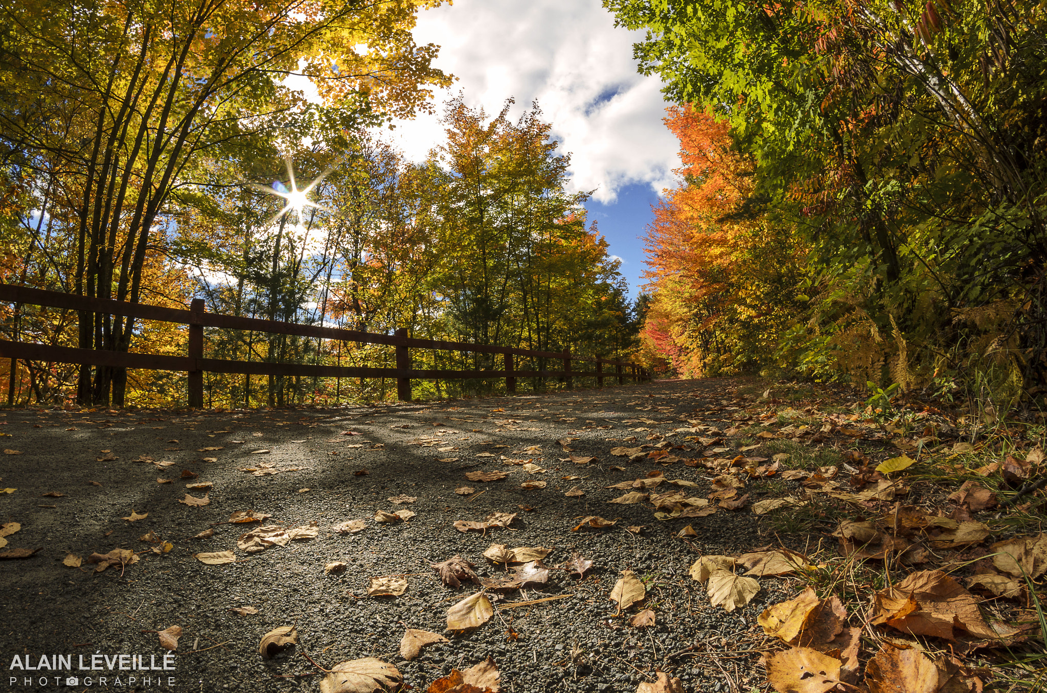 Nikon D7000 + Samyang 8mm F3.5 Aspherical IF MC Fisheye sample photo. Autumn bike path photography