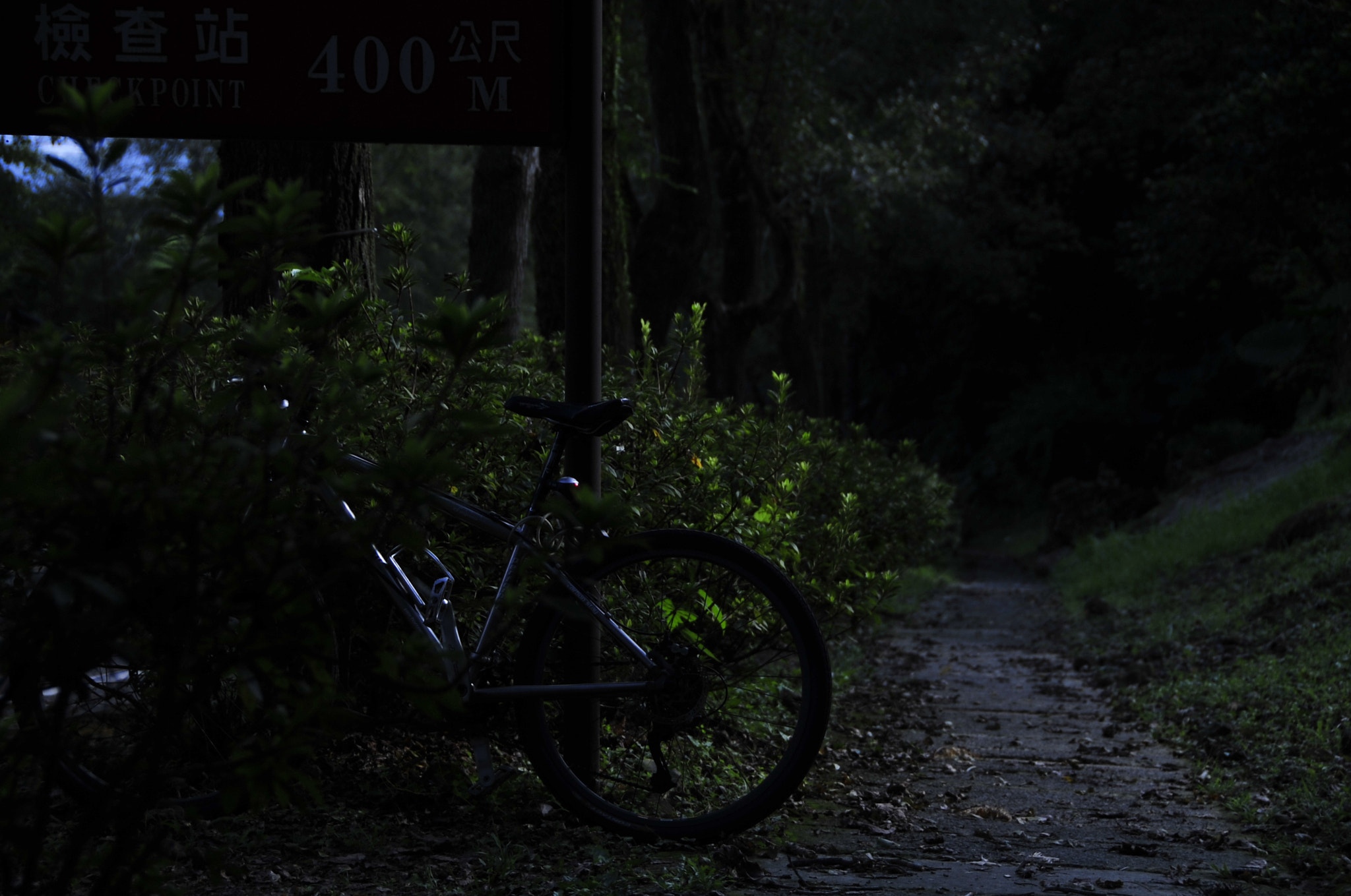 Nikon D3 sample photo. .. photography