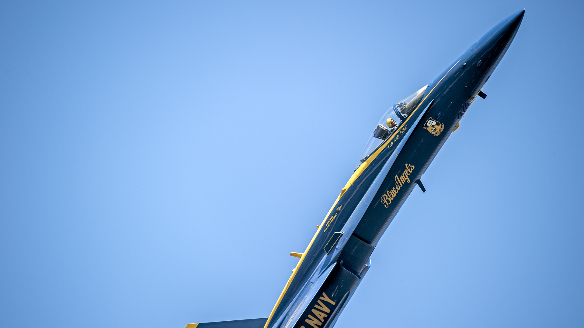 Sigma 150-500mm F5-6.3 DG OS HSM sample photo. Looking up photography