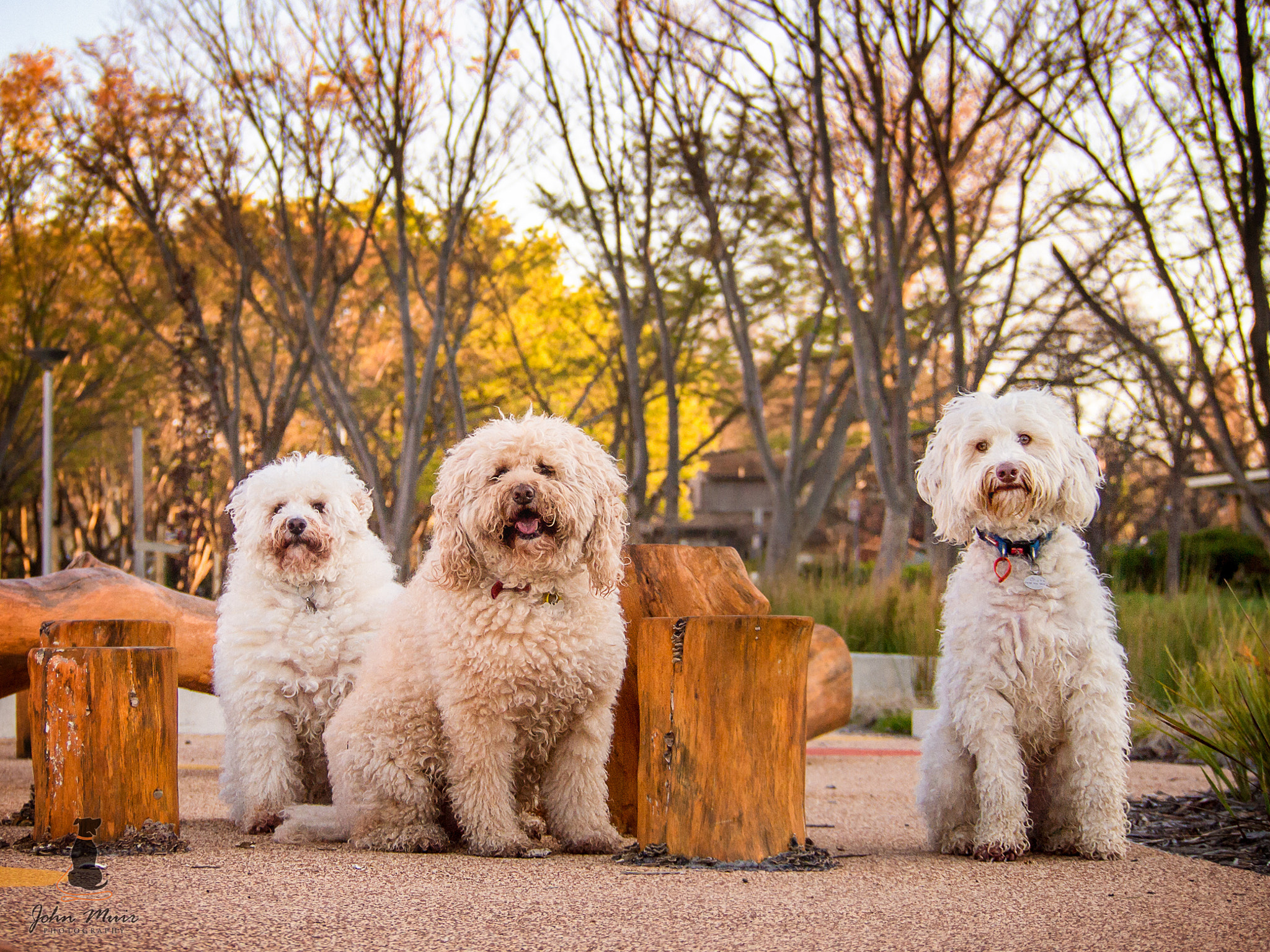 Olympus PEN E-P3 sample photo. The beaton boys 2.0 photography
