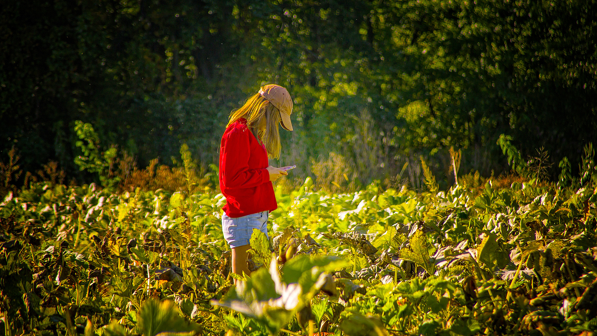 Canon TS-E 90mm F2.8 Tilt-Shift sample photo. Girl in the field photography
